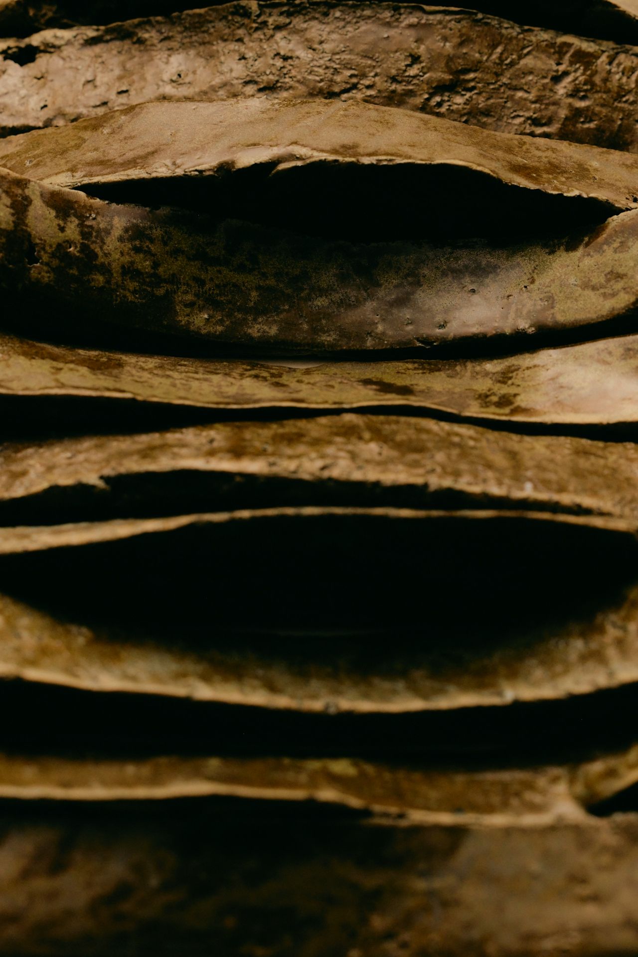 FERUS Hospitality Concept and Branding3.jpg