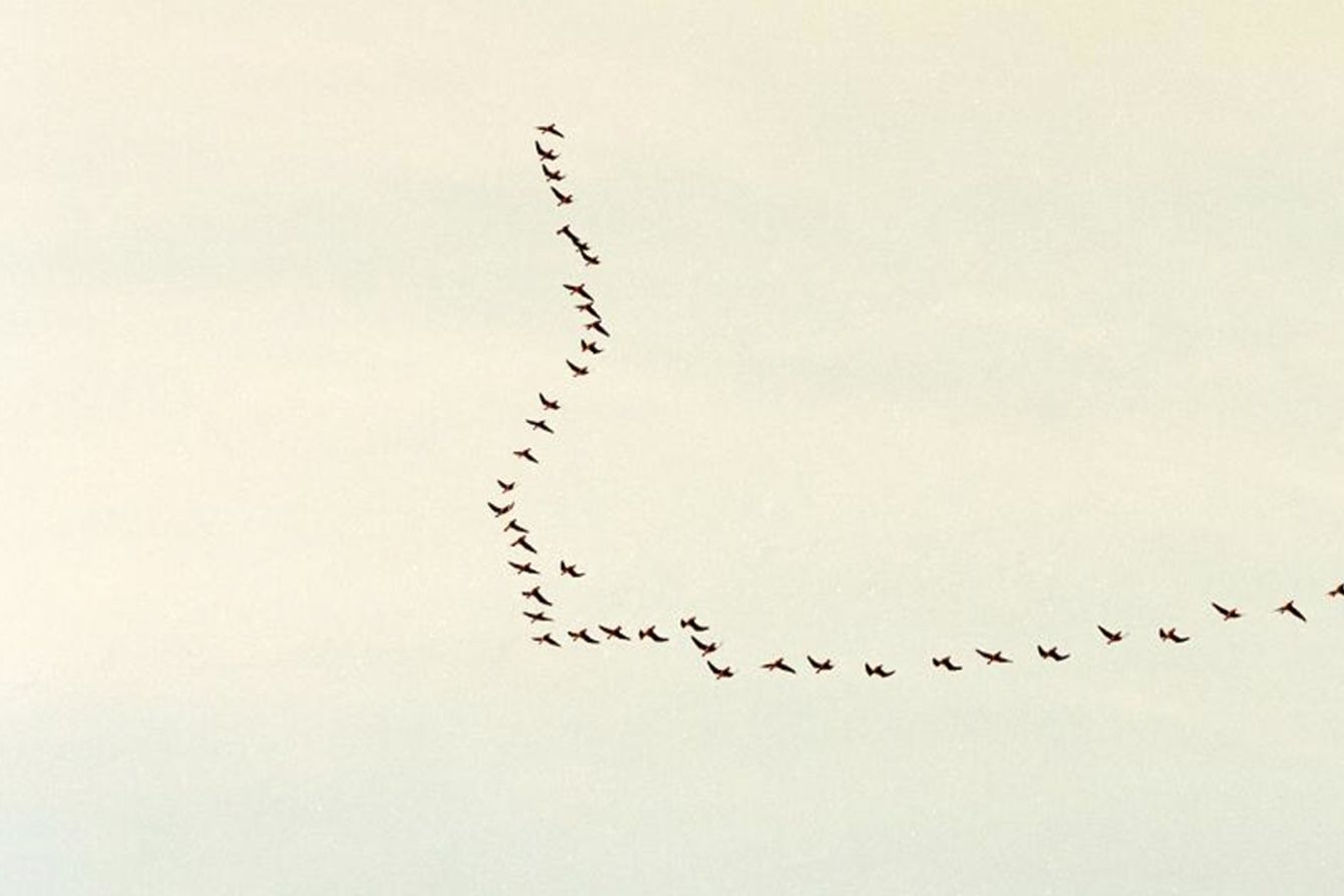 Visual Brand Strategy