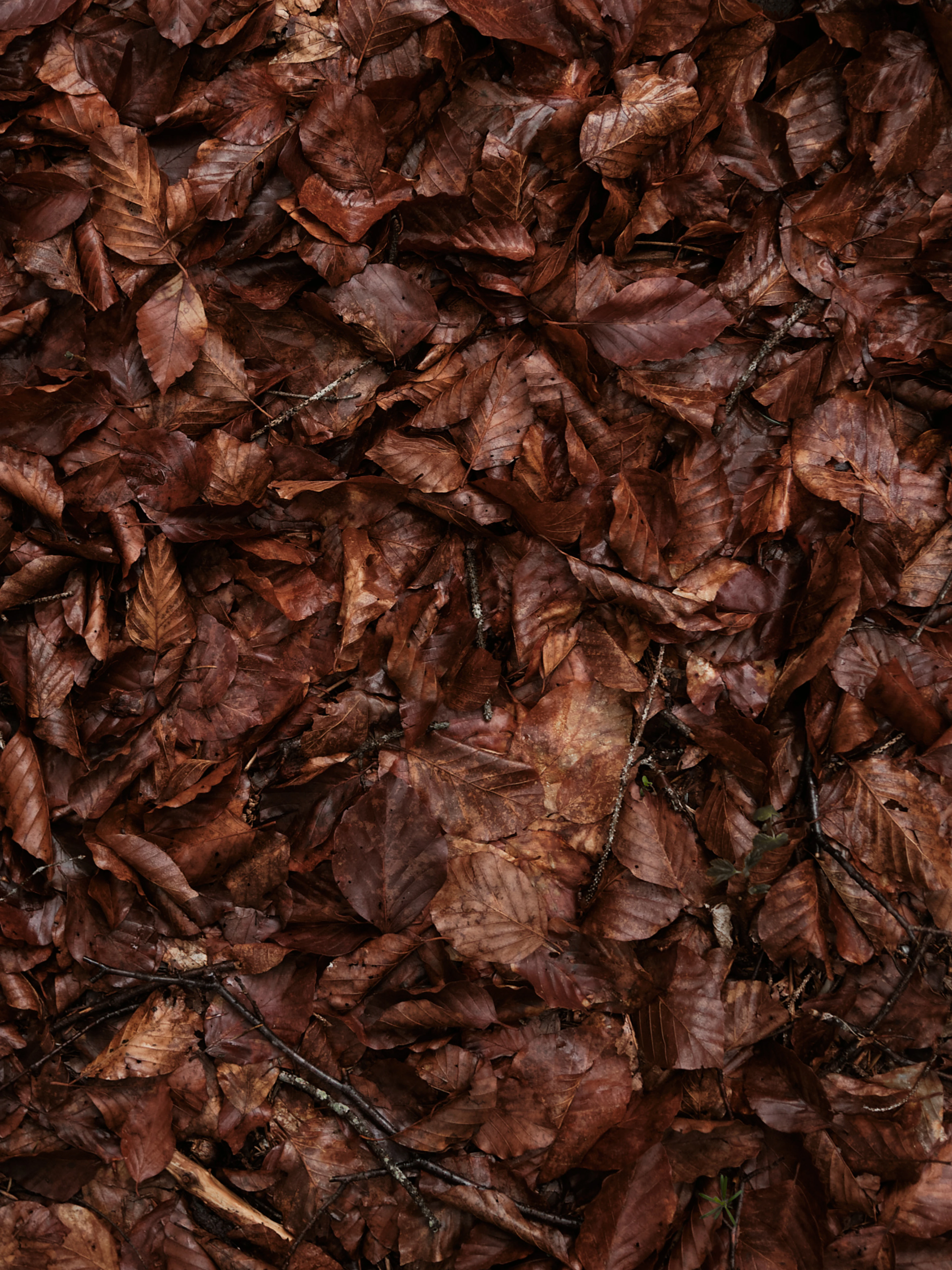 Hotel Strategy and Concept for Das Kranzbach Hotel by Hotel Expert FERUS_10.jpg