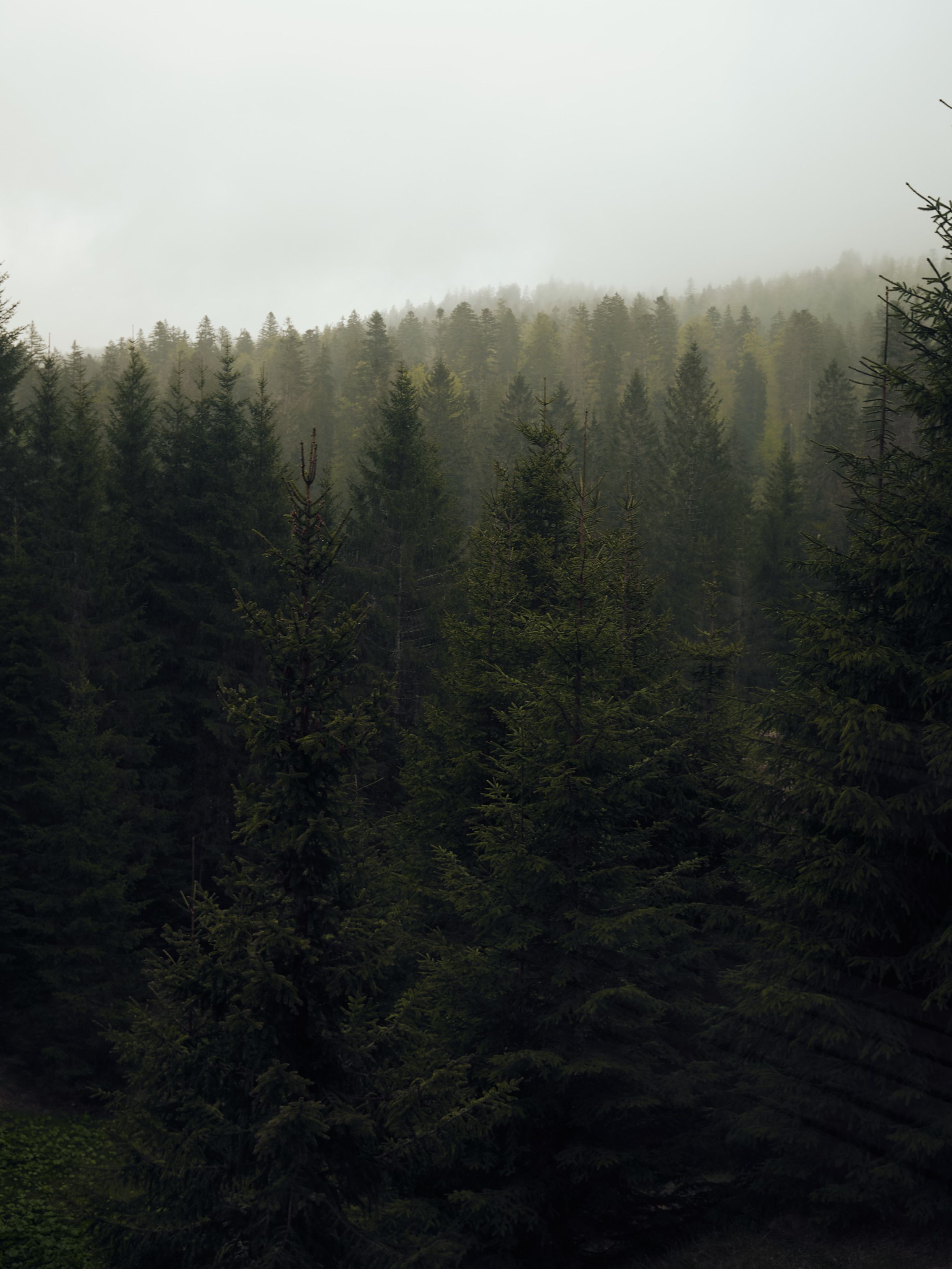 Hotel Strategy and Concept for Das Kranzbach Hotel by Hotel Expert FERUS_16.jpg