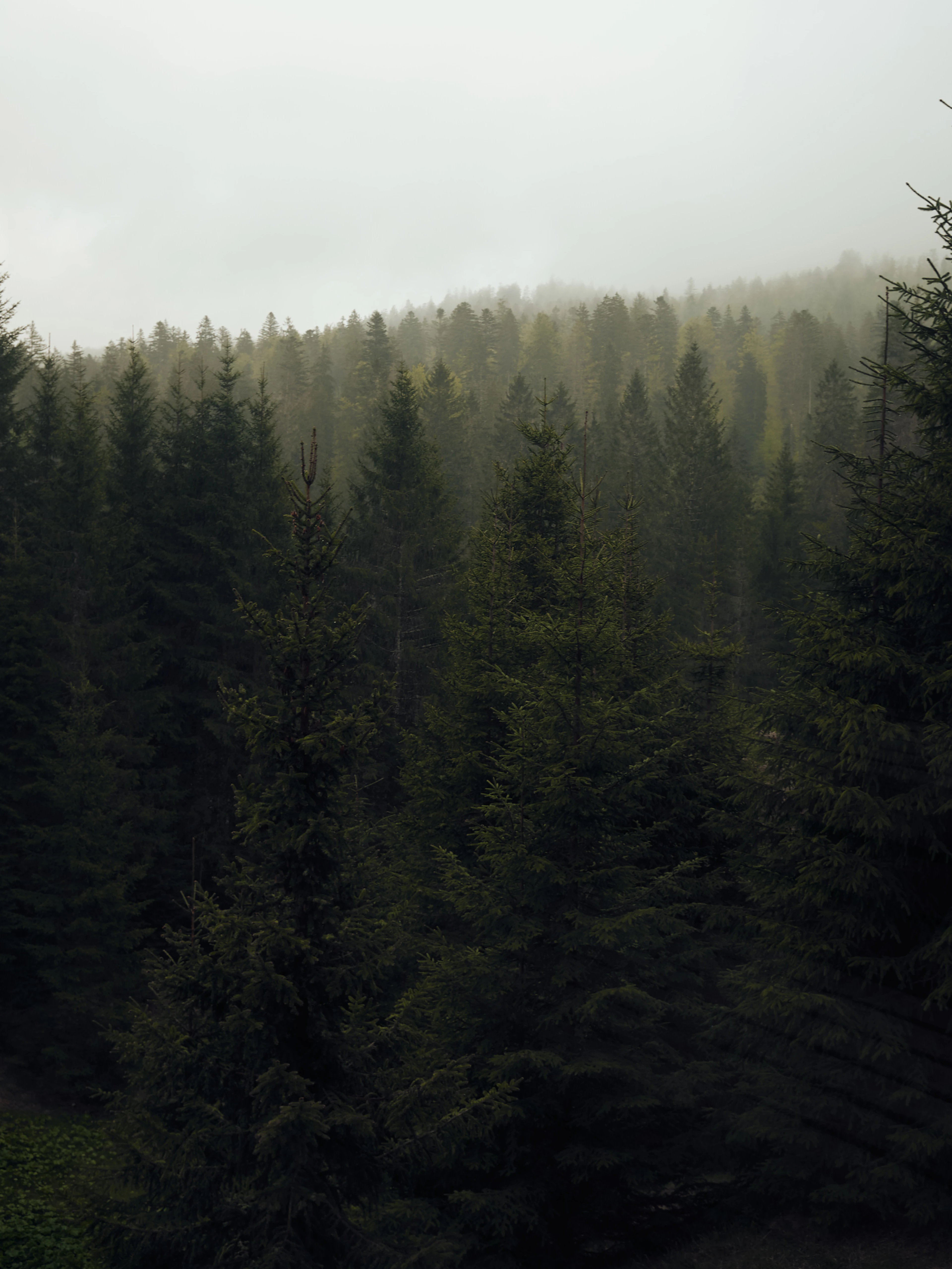 Hotel Strategy and Concept for Das Kranzbach Hotel by Hotel Expert FERUS_16.jpg