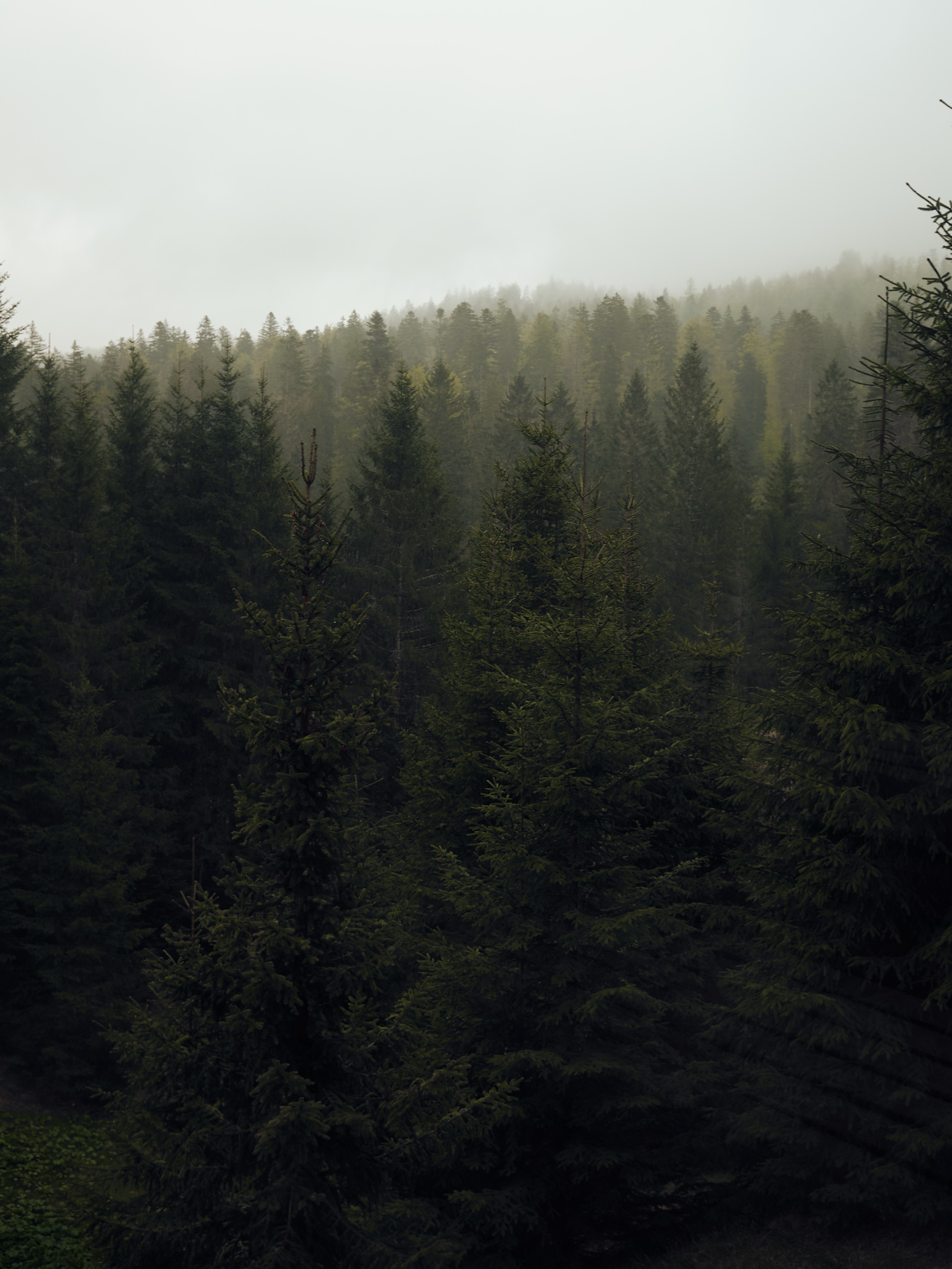 Hotel Strategy and Concept for Das Kranzbach Hotel by Hotel Expert FERUS_16.jpg