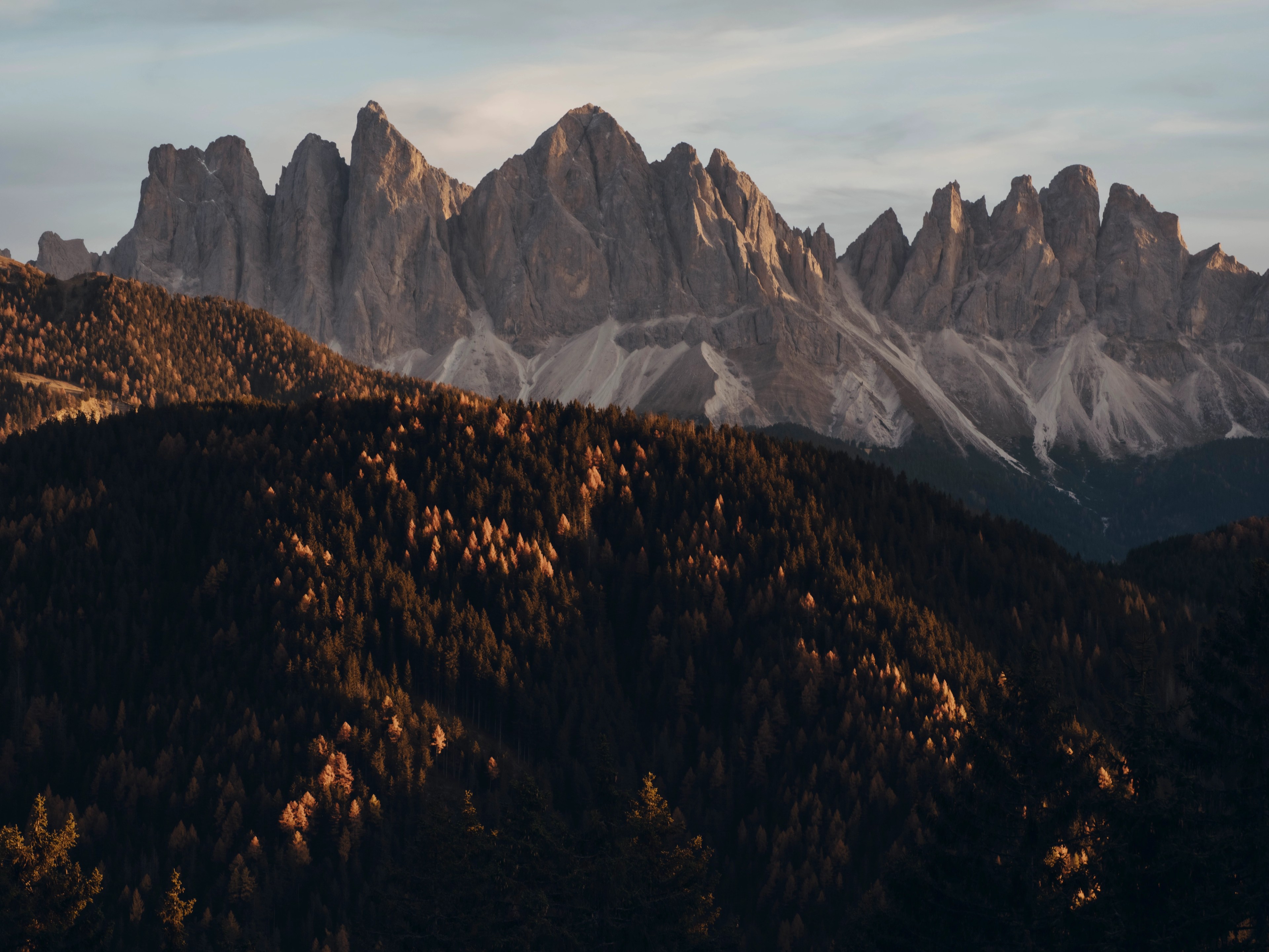 FOR_FORESTIS DOLOMITES15.jpg
