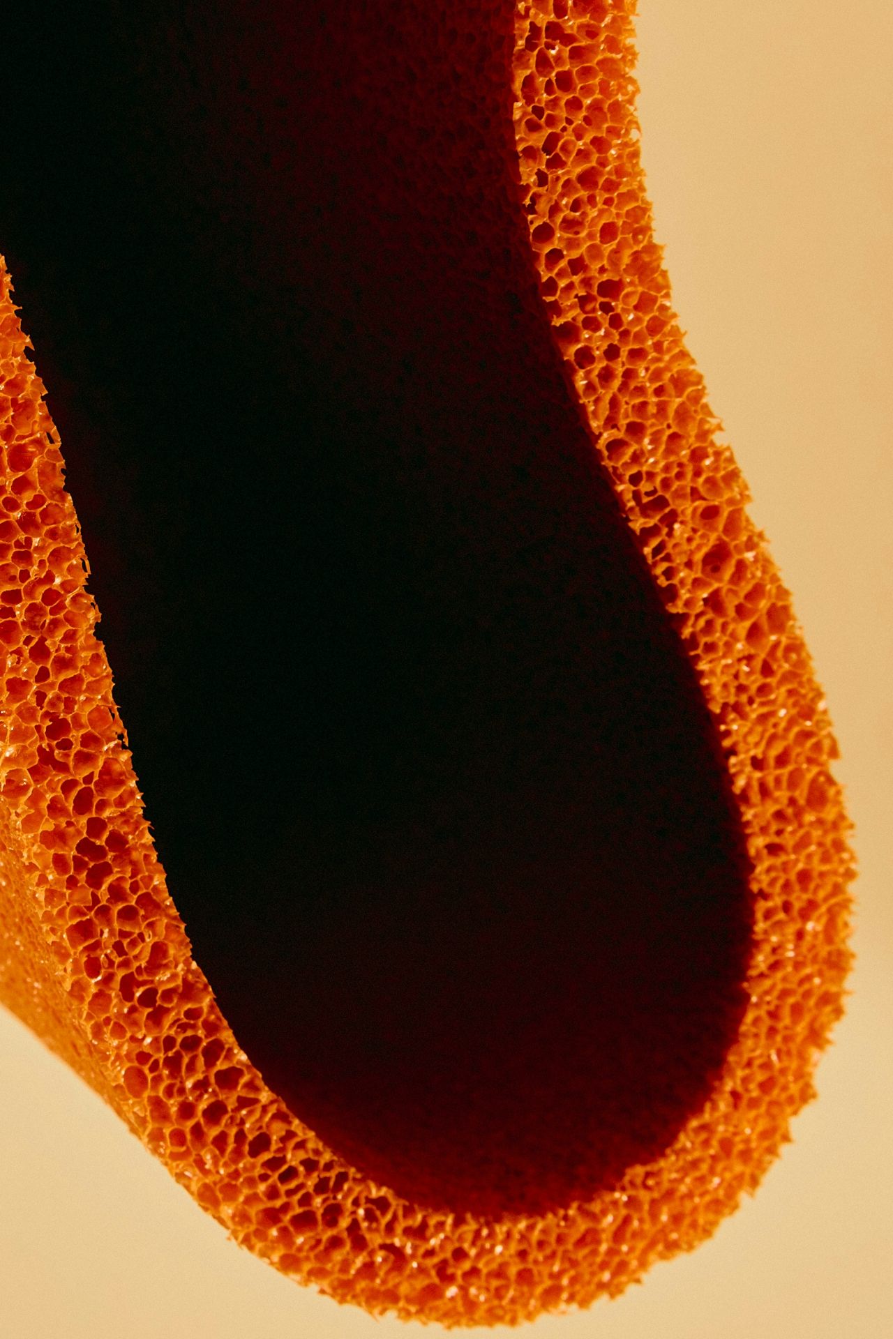 FERUS Hospitality Concept and Branding10.jpg