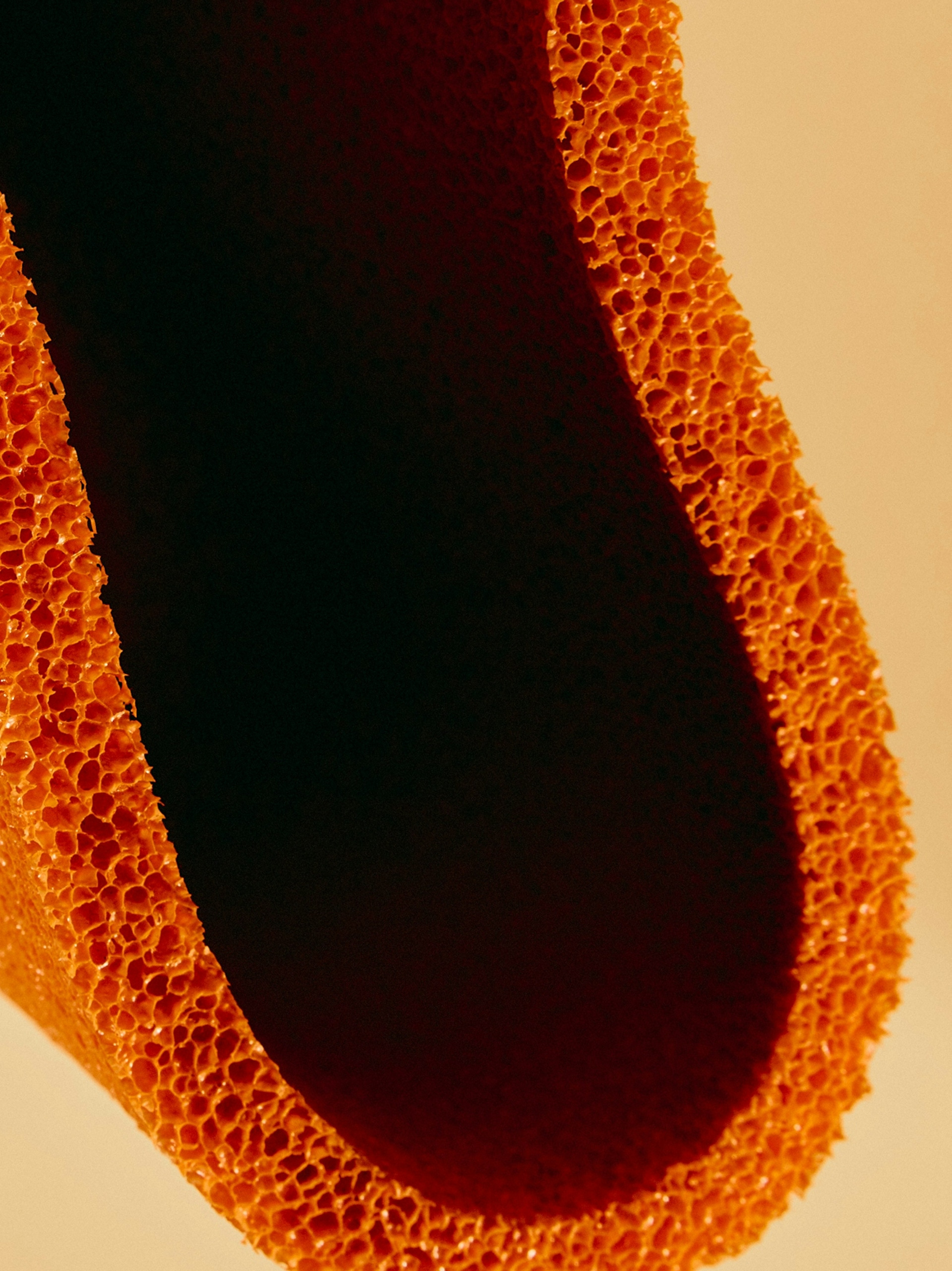 FERUS Hospitality Concept and Branding10.jpg