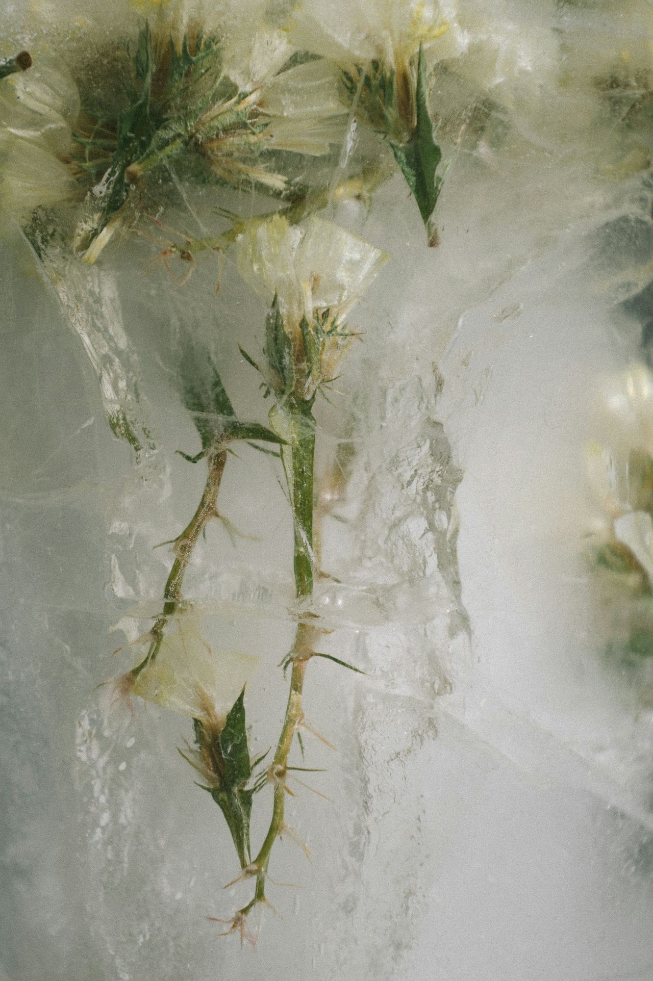 FERUS Visual Services Hotels