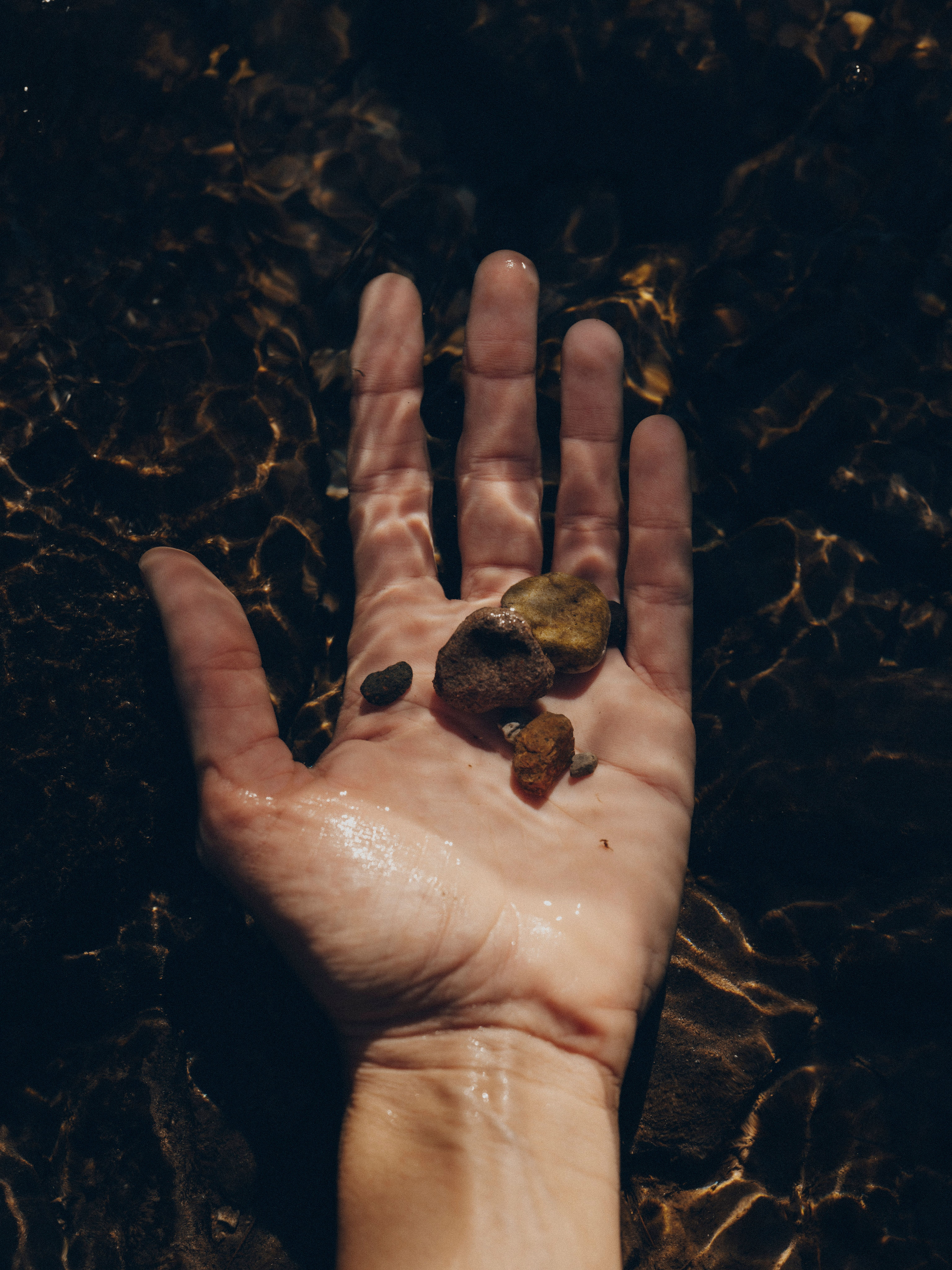 FOR_FORESTIS DOLOMITES62.jpg