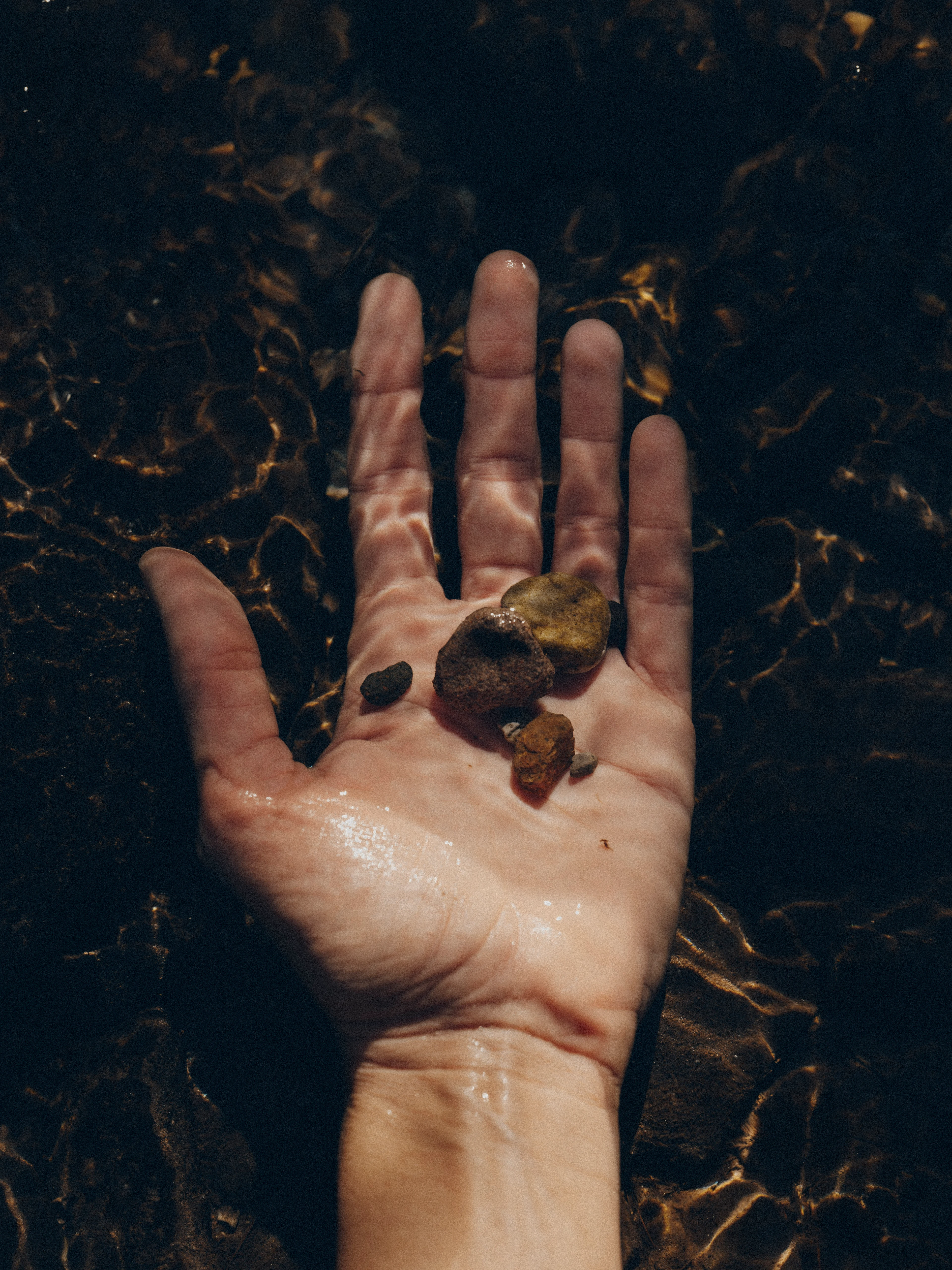 FOR_FORESTIS DOLOMITES62.jpg