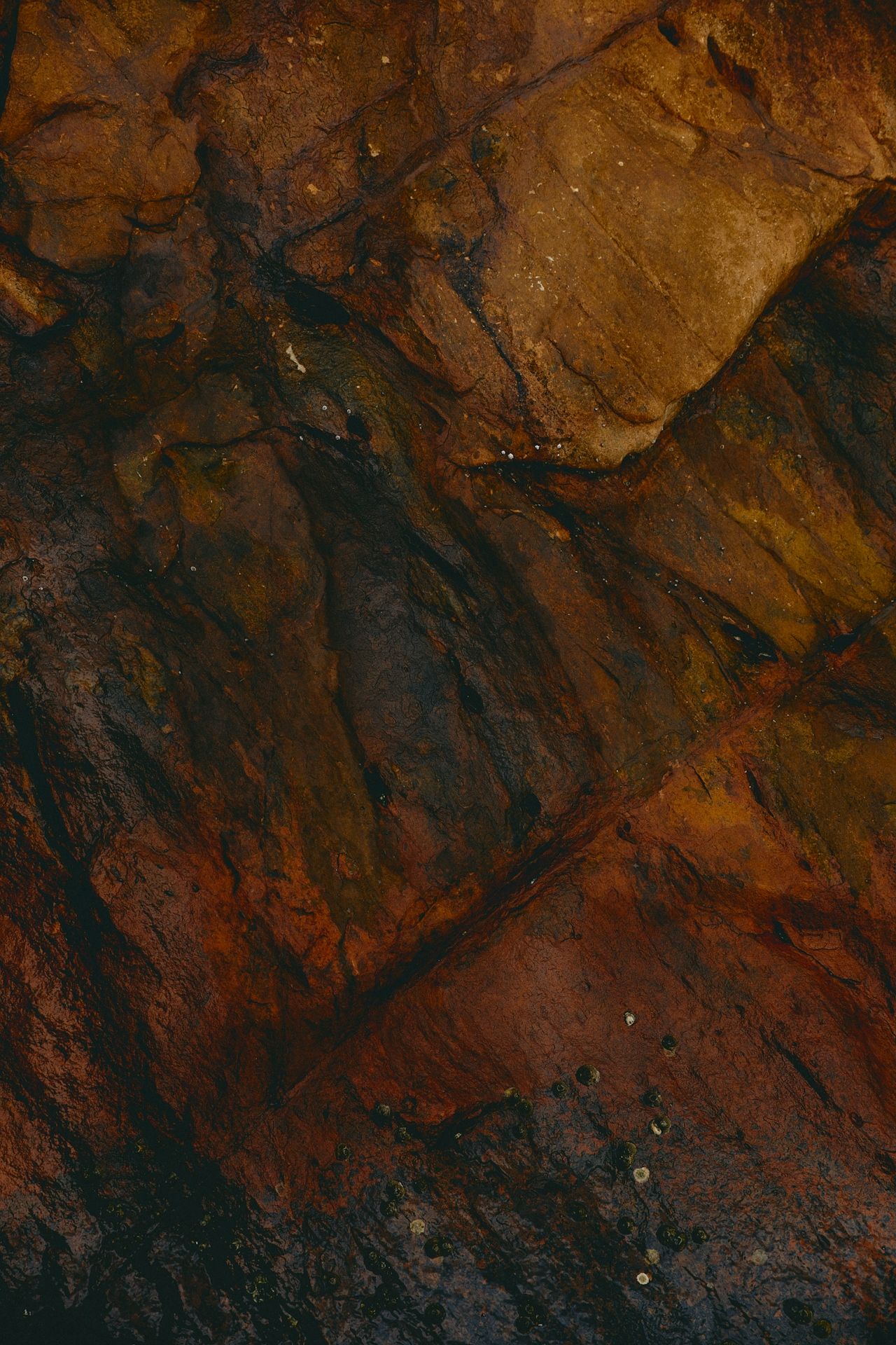 FERUS Visual Services