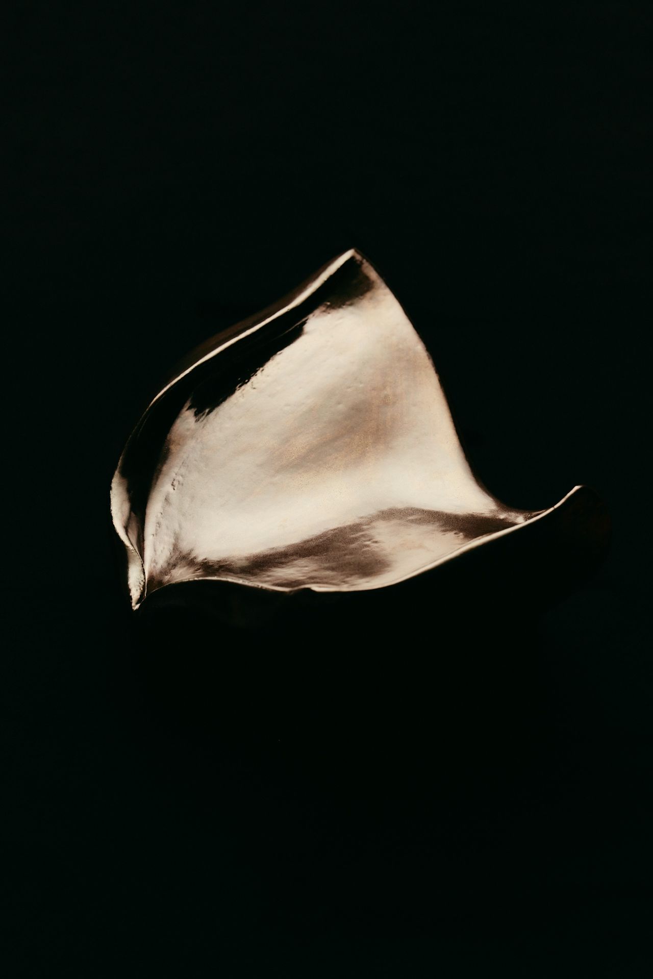 FERUS Visual Services