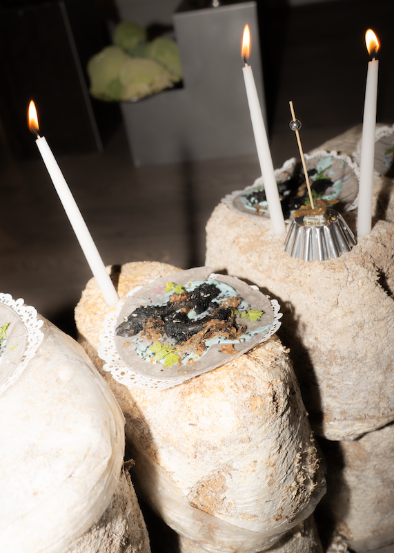 FERUS Event Fungi Affair Food Installation