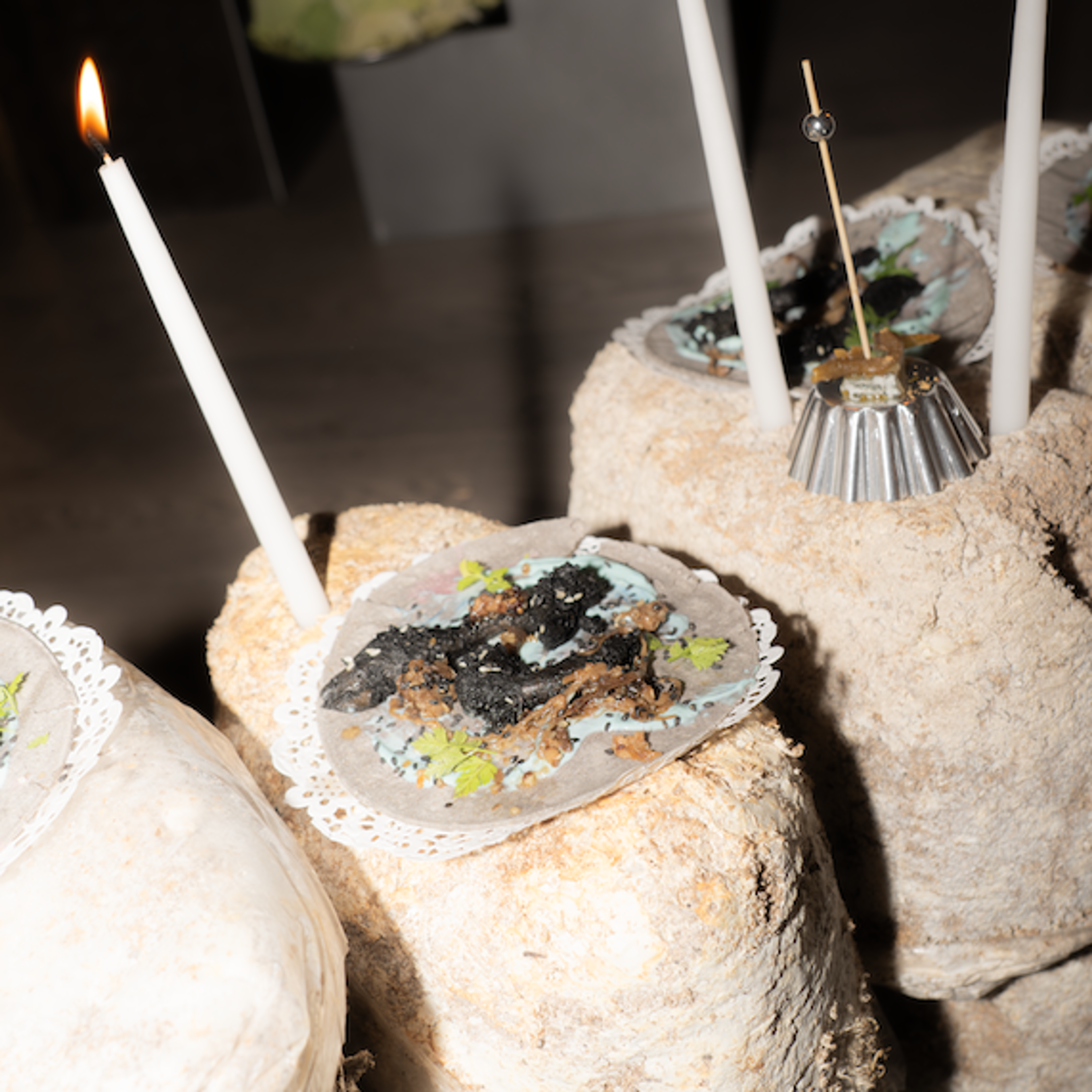 FERUS Event Fungi Affair Food Installation