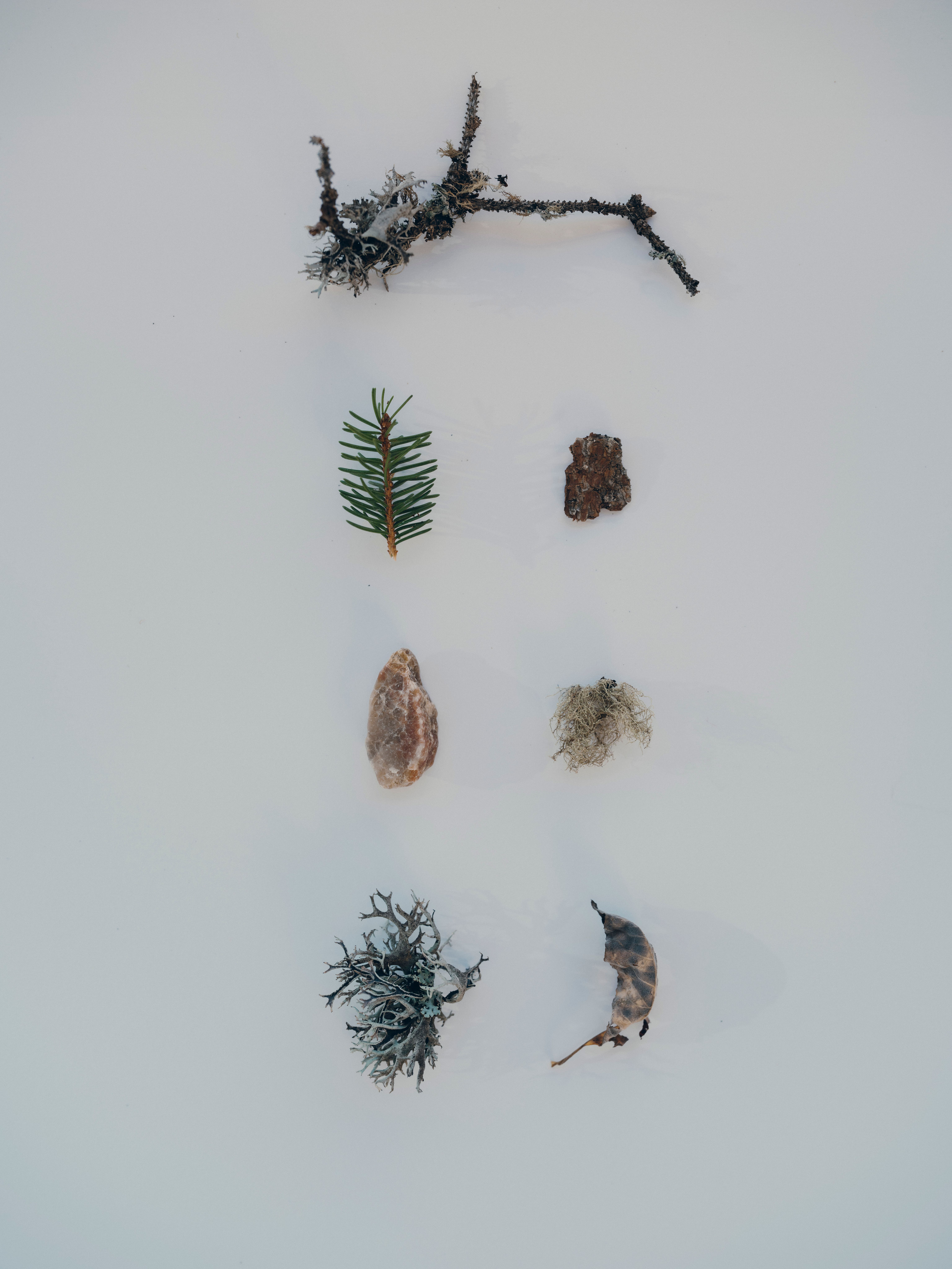 FOR_FORESTIS DOLOMITES95.jpg