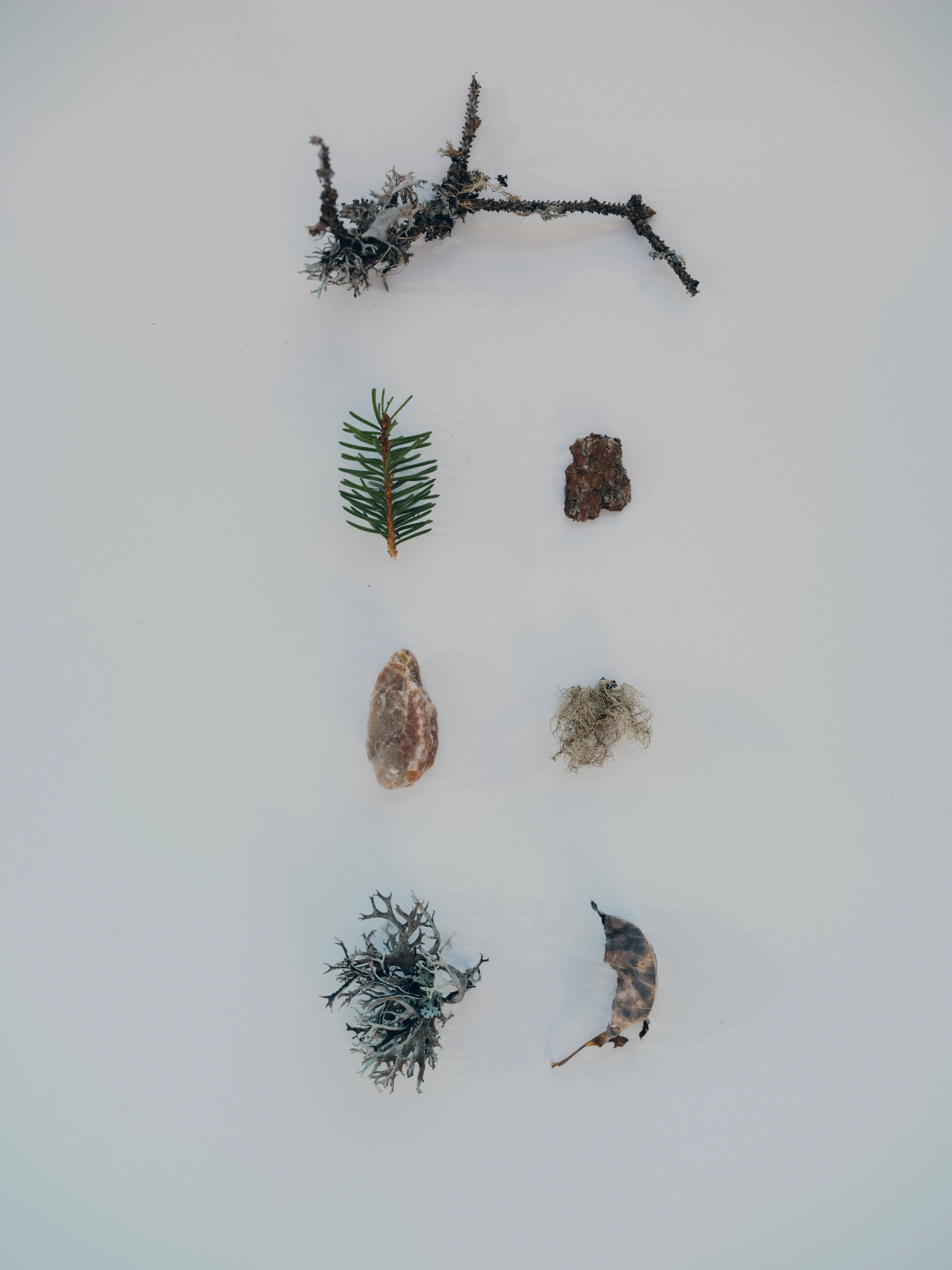 FOR_FORESTIS DOLOMITES95.jpg