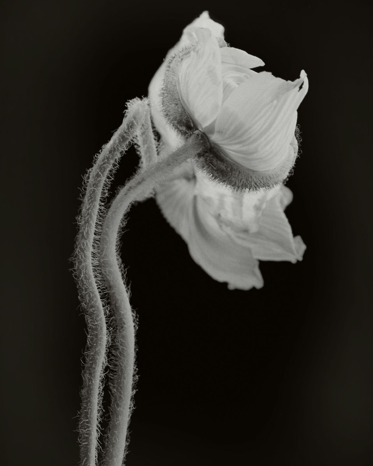 FERUS Visual Services Hotel