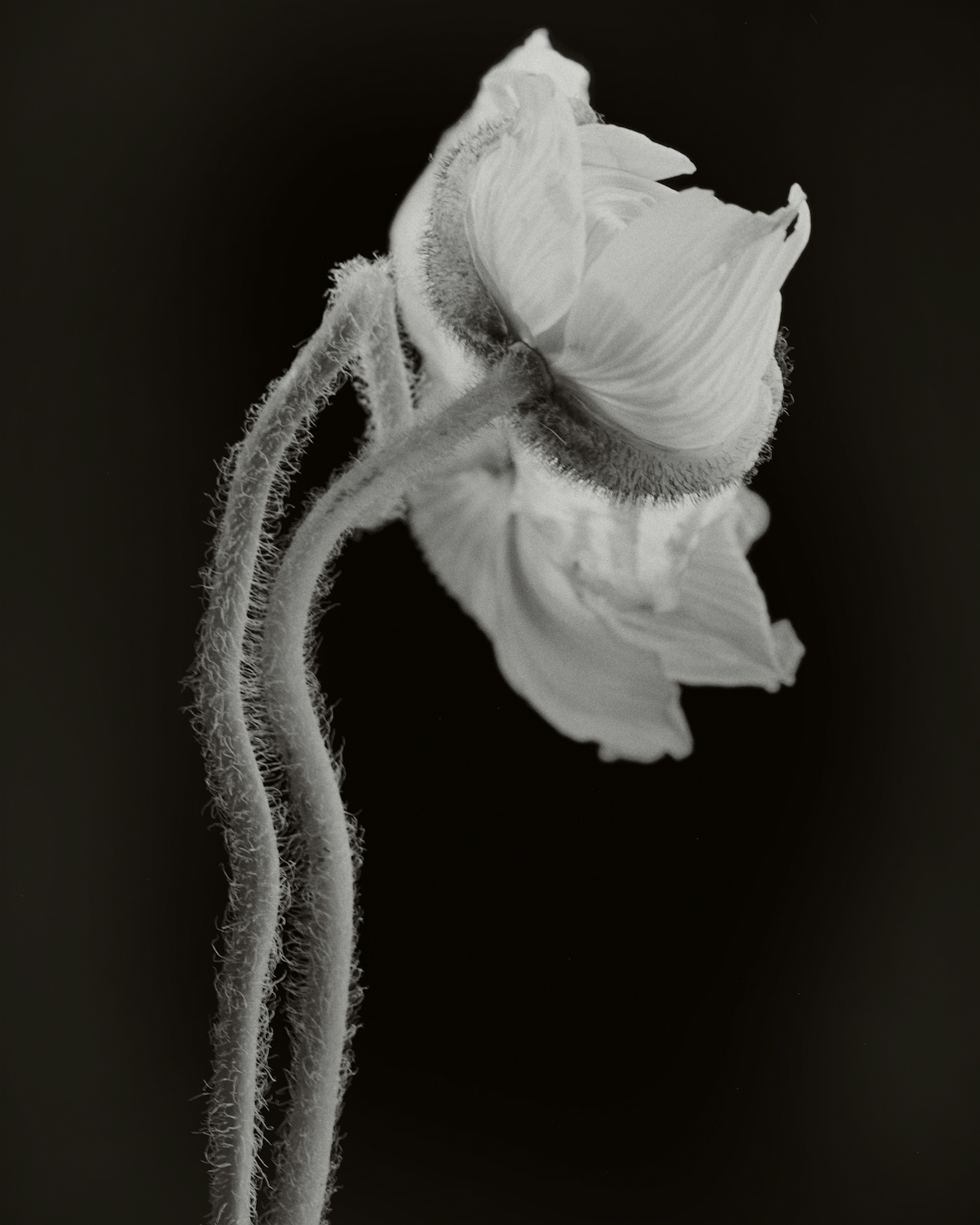 FERUS Visual Services Hotel