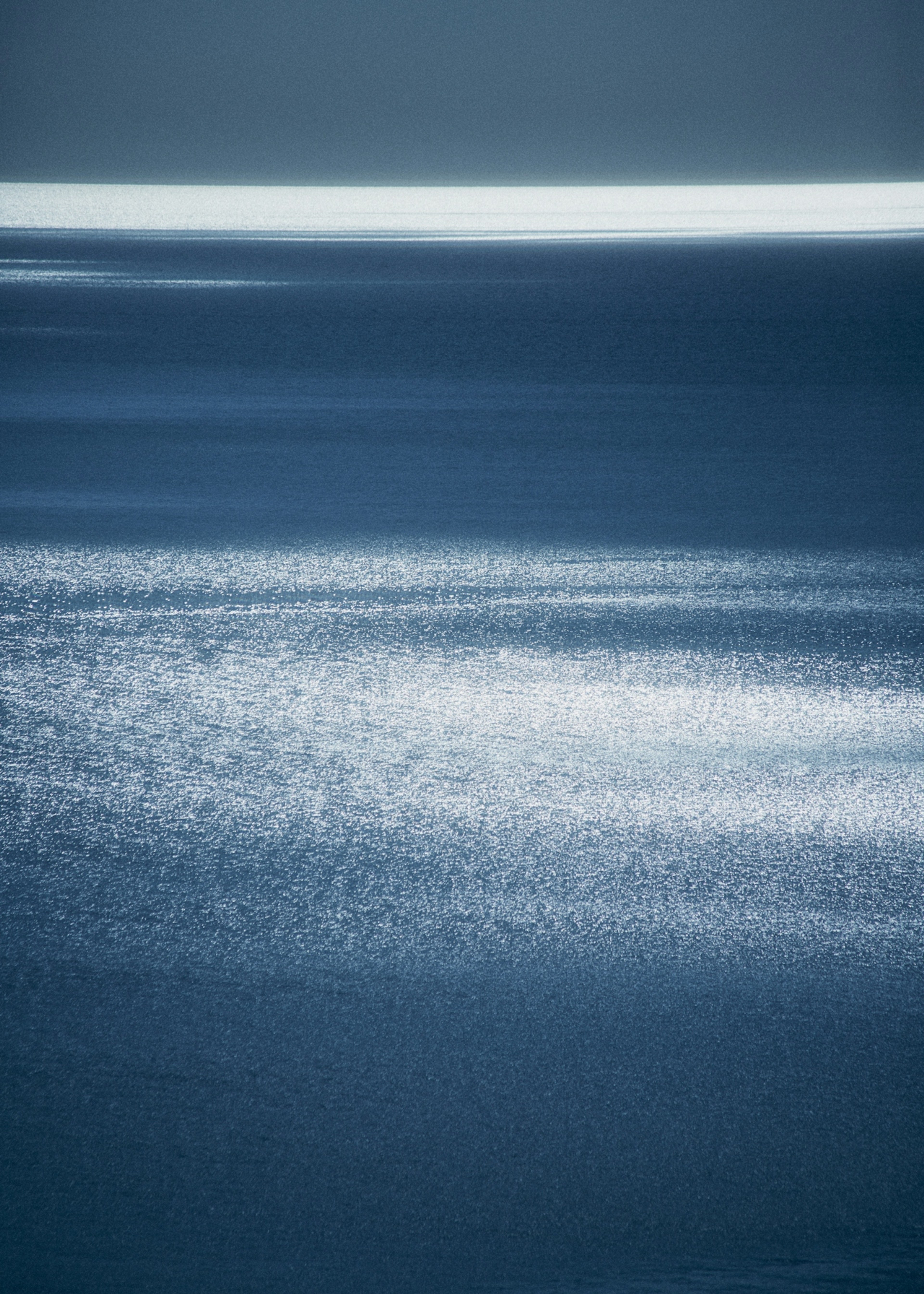 FERUS Hospitality Concept and Branding29.jpg