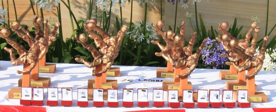 VI Trofeo Quini 2013 - Imagen 1