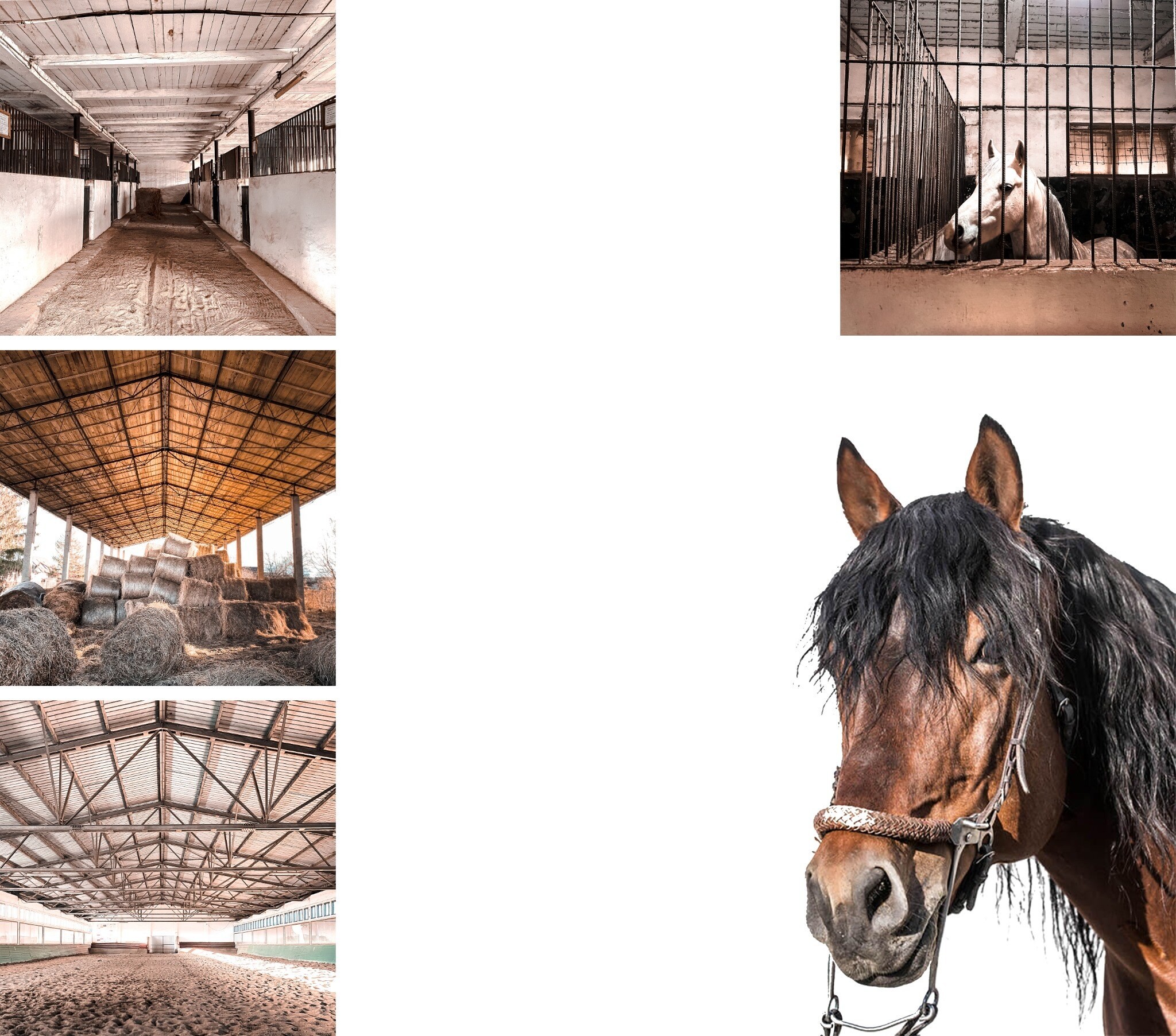 Project grid image 2
