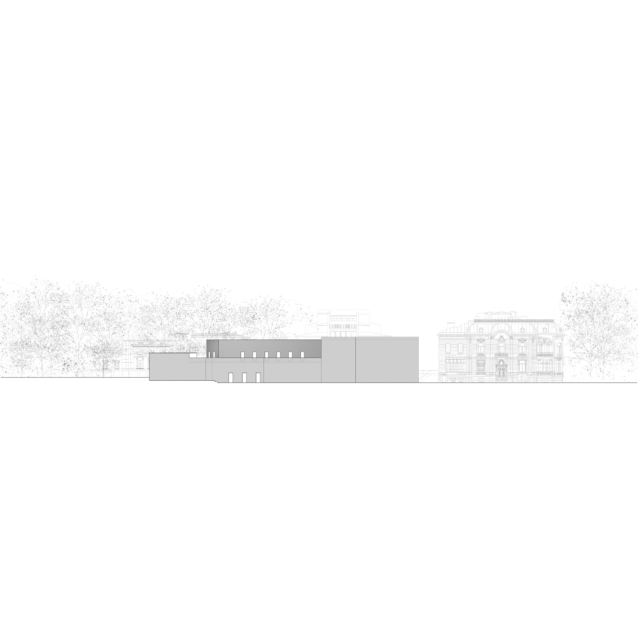 Project grid image 1