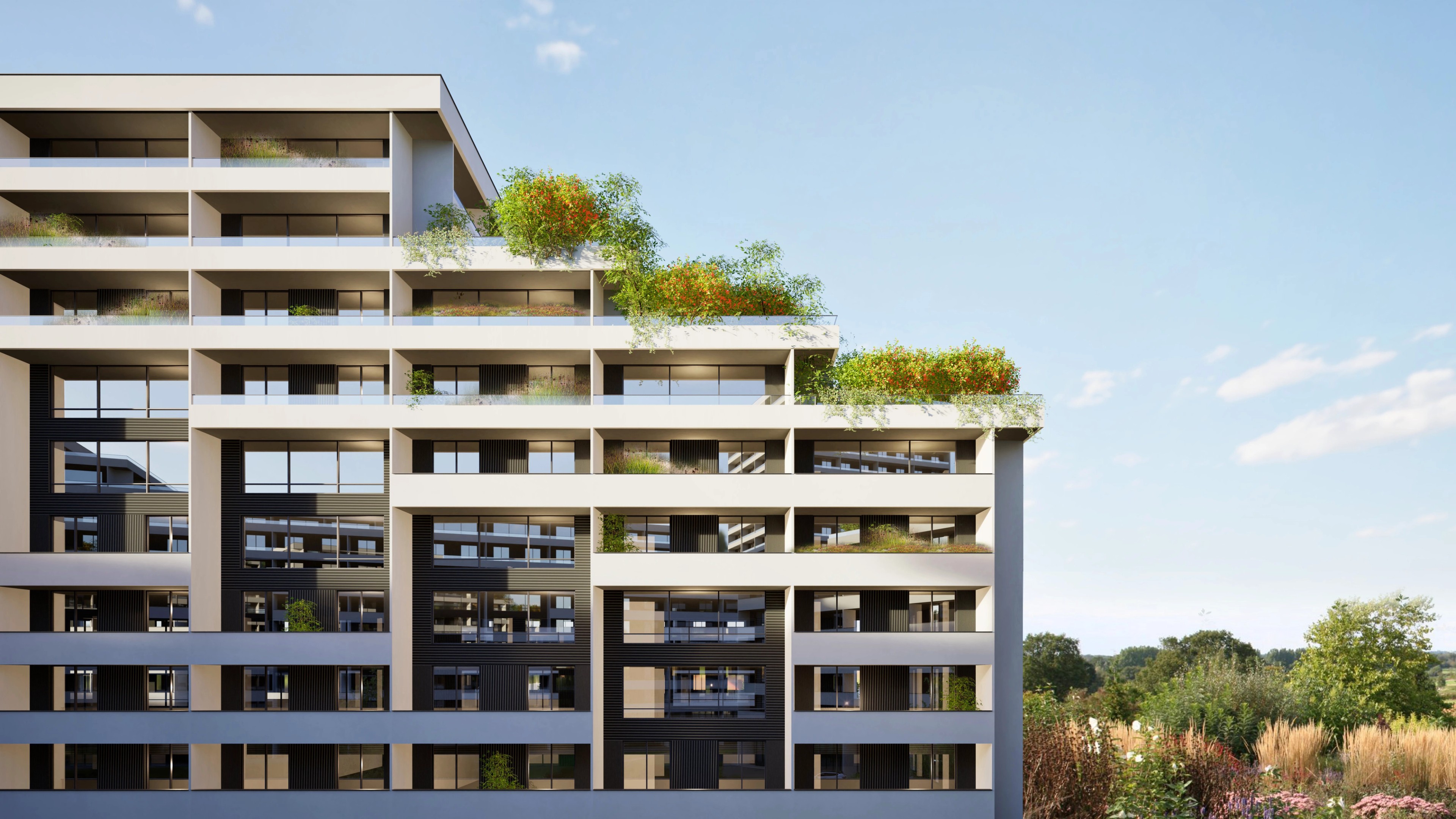 Bucharest Housing Concept cover image