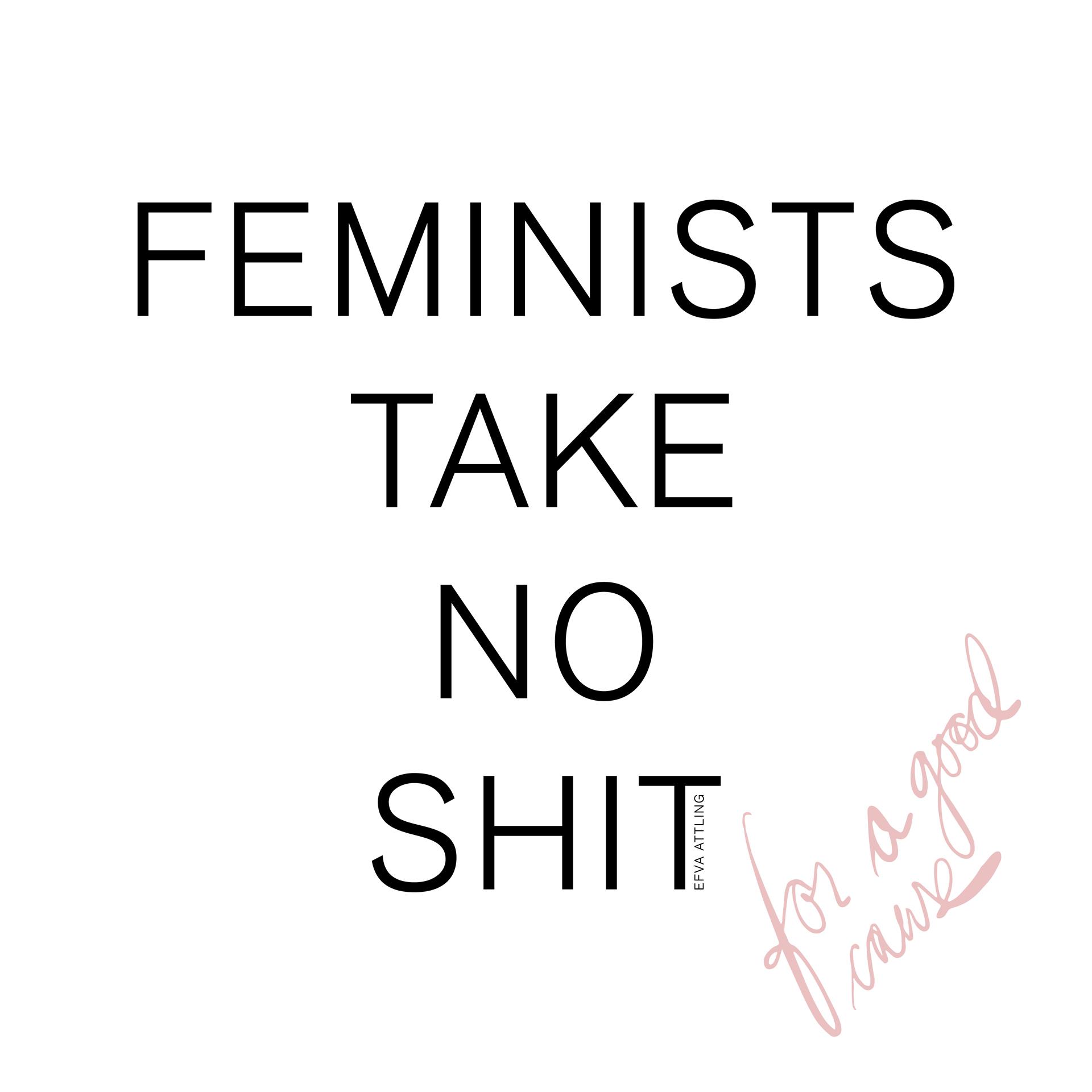 Feminists Take No Shit - Woman ll