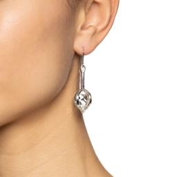 Captured Harmony Earrings