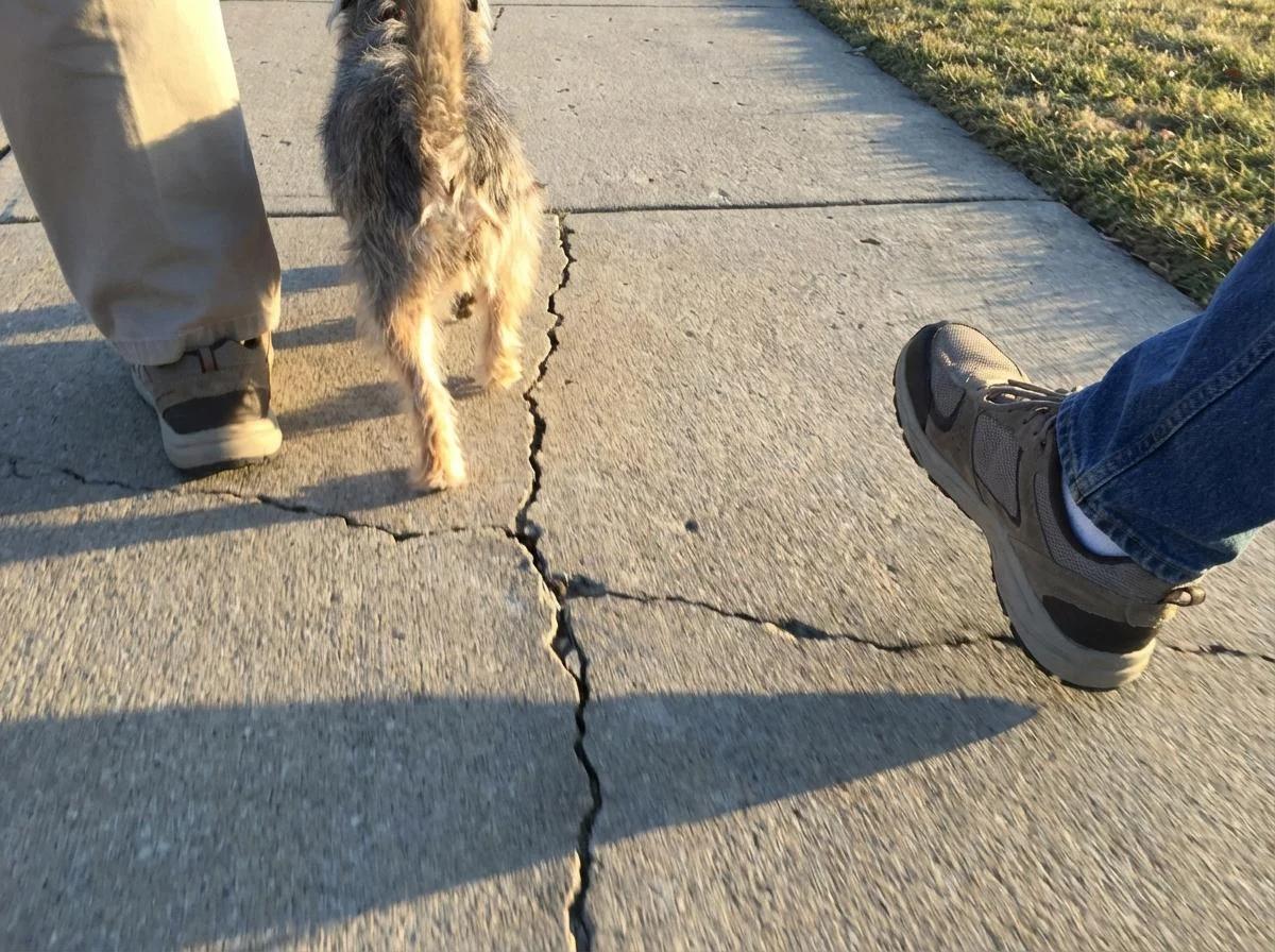 An elderly man's feet in comfortable shoes walking slowly on a sidewalk next to the paws of a small, scruffy dog.