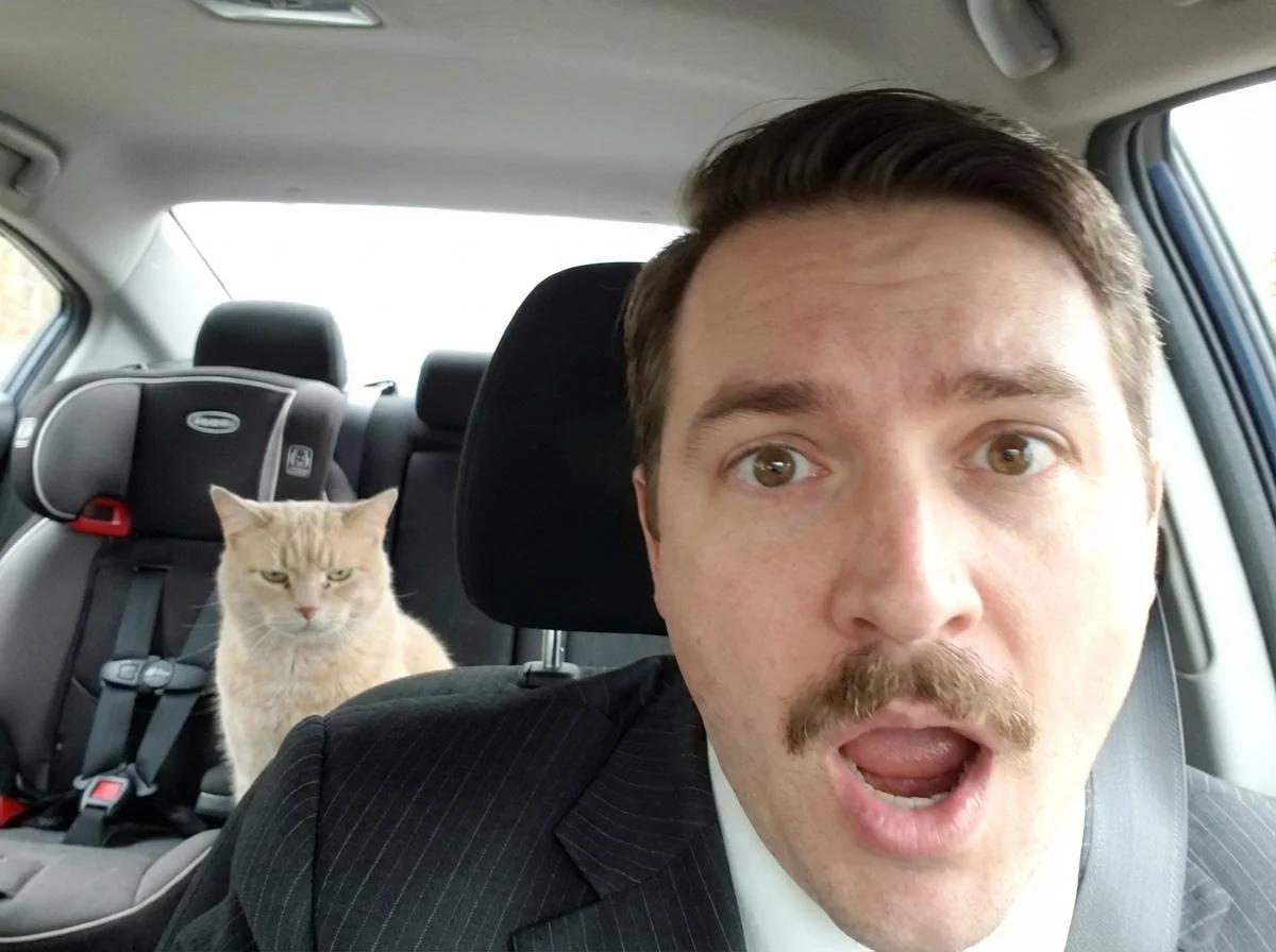 The Neighbor's Cat in My Car