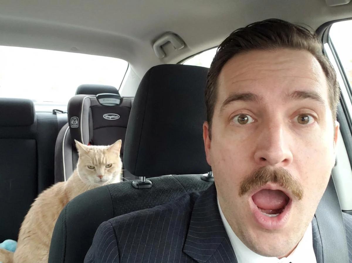 A man in a suit takes a surprised selfie in his car, while a grumpy-looking light-colored cat sits behind him near a child's car seat.