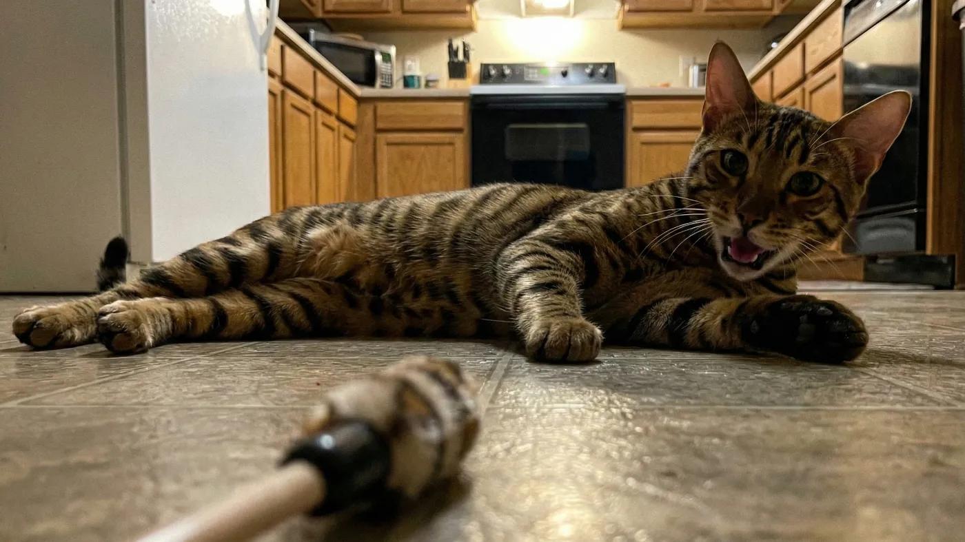 He never runs out of energy