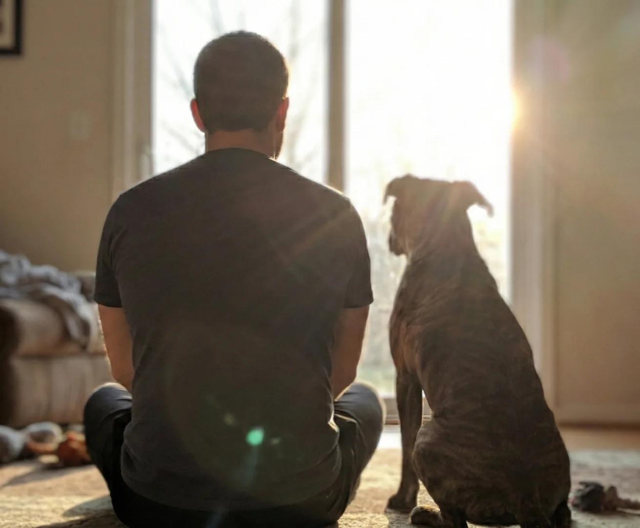 My Pitbull is Family