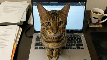 He follows me everywhere