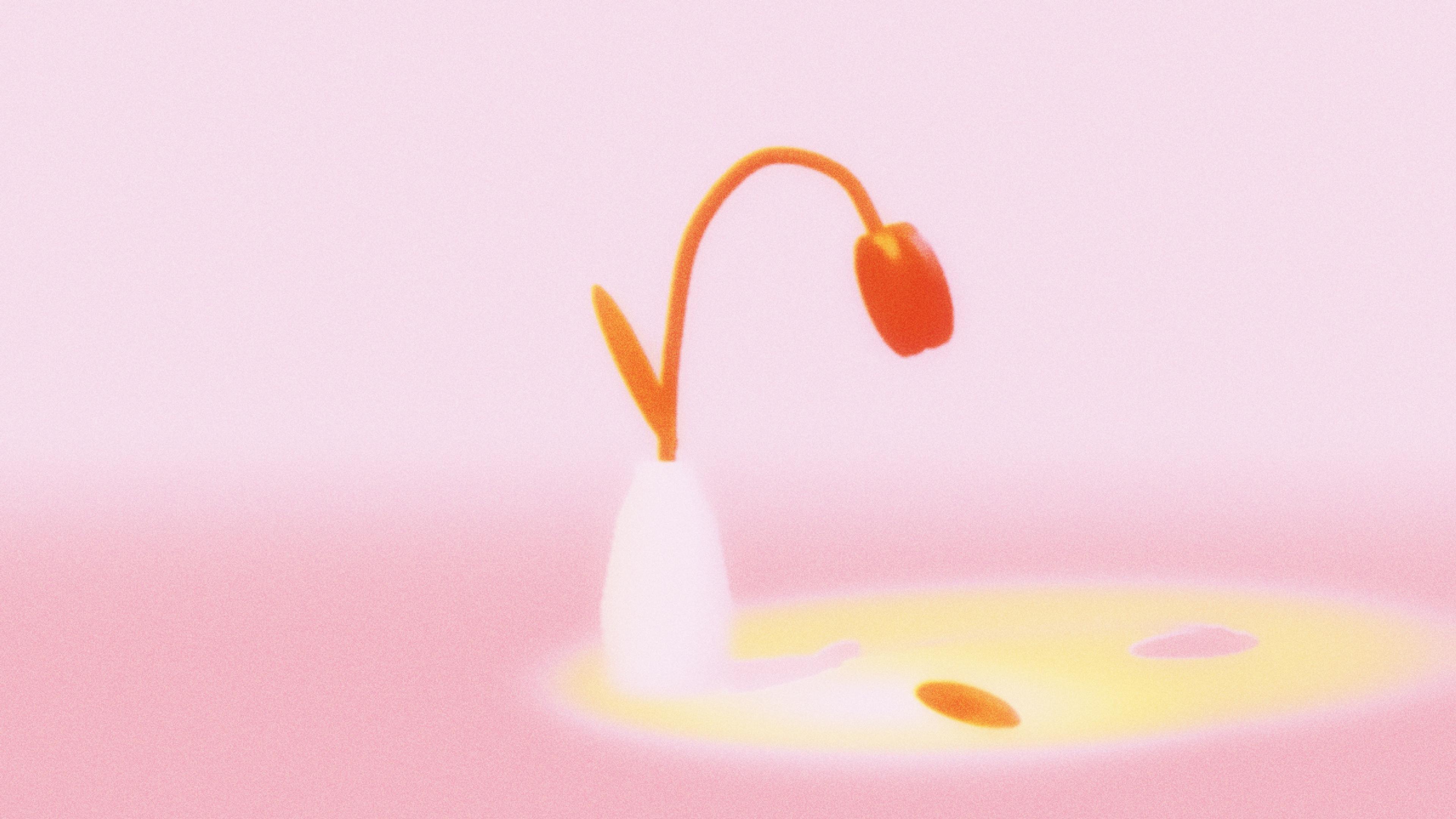 A tulip drooping in a vase, one petal already fallen