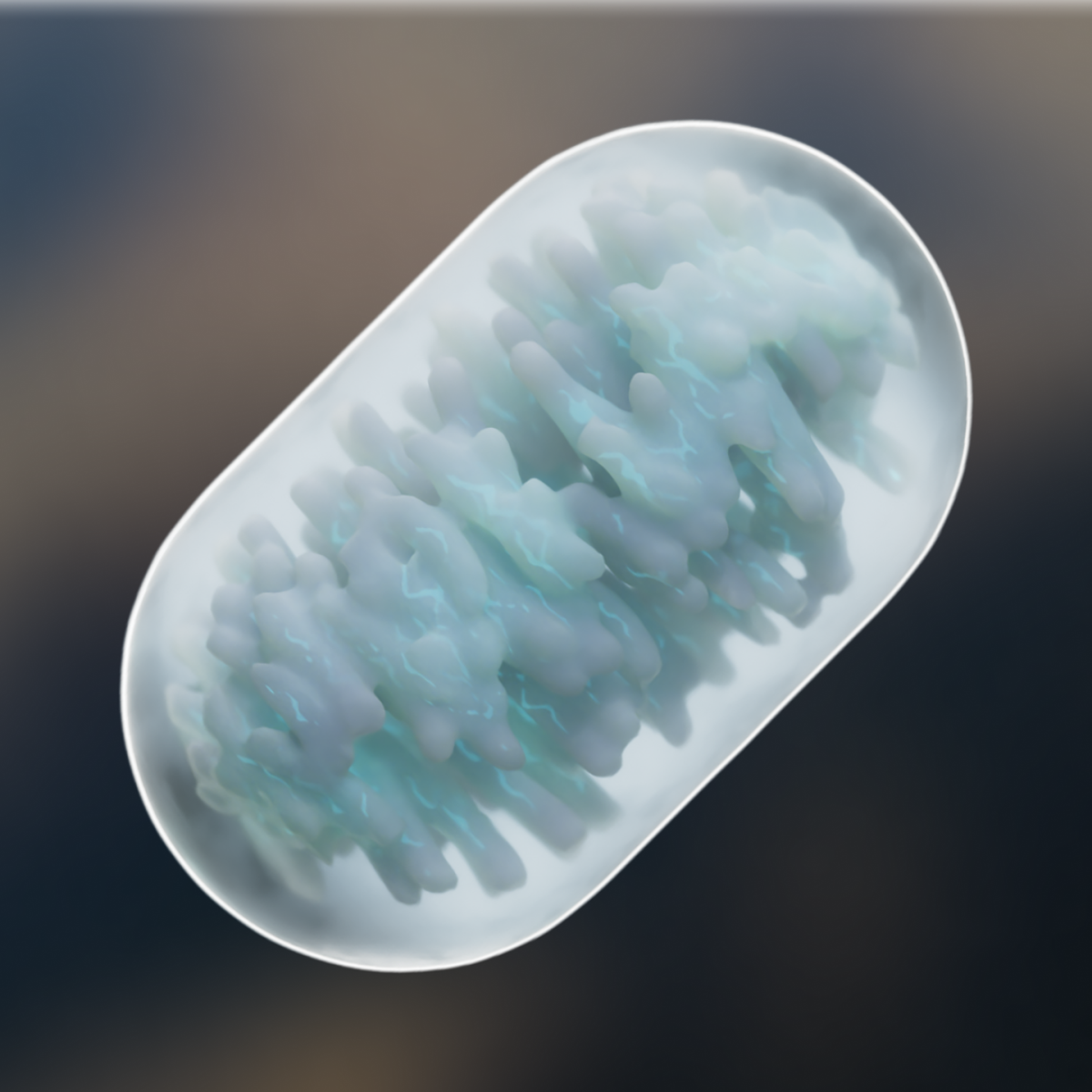 Gummy