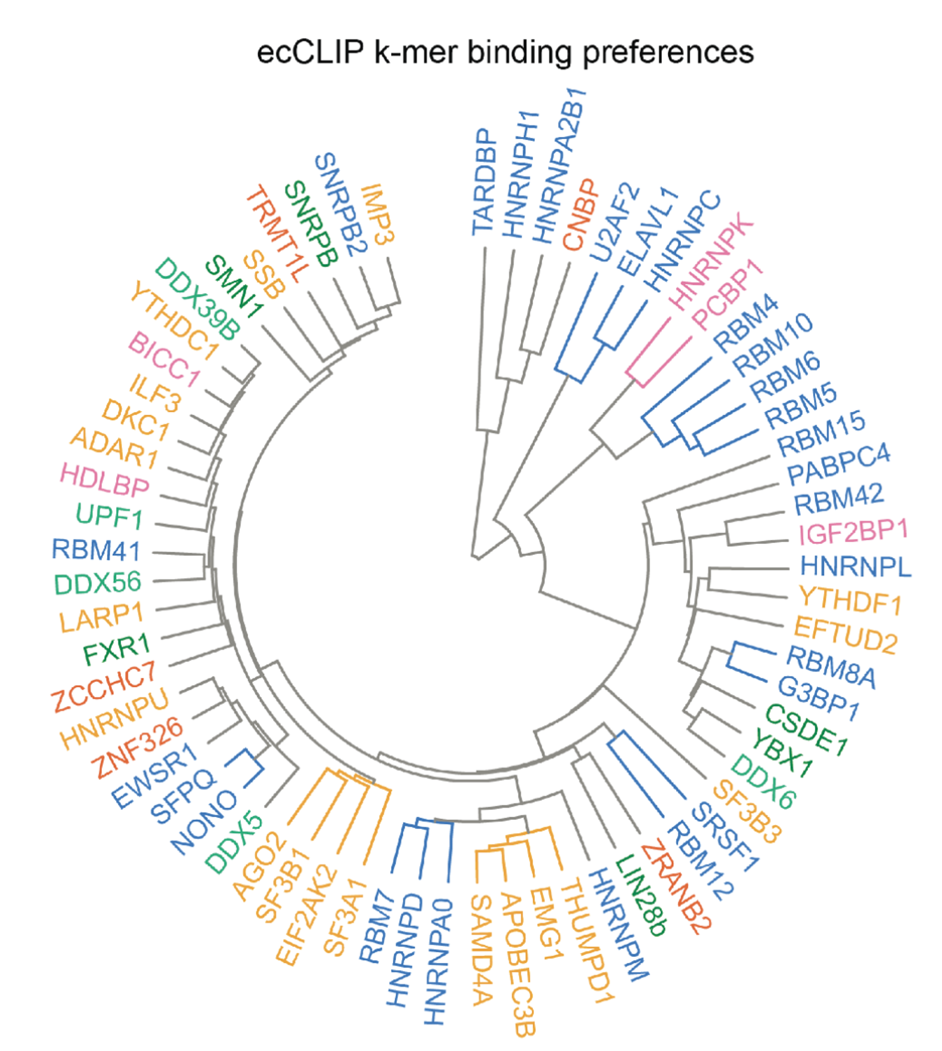 A high-resolution protein-RNA binding atlas for structure-aware interaction prediction and post-transcriptional regulatory modeling