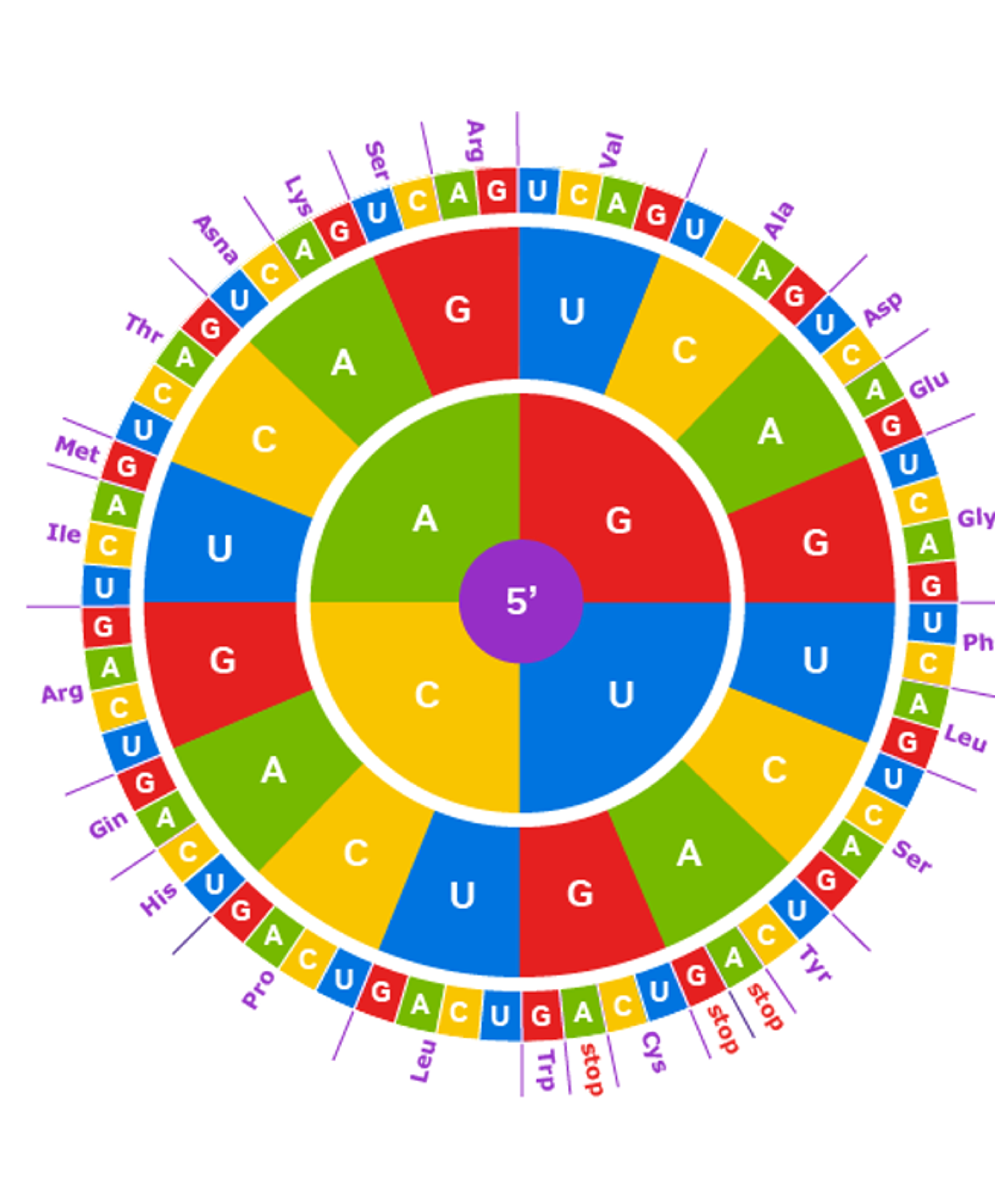 Learning the Language of Codon Translation with CodonFM