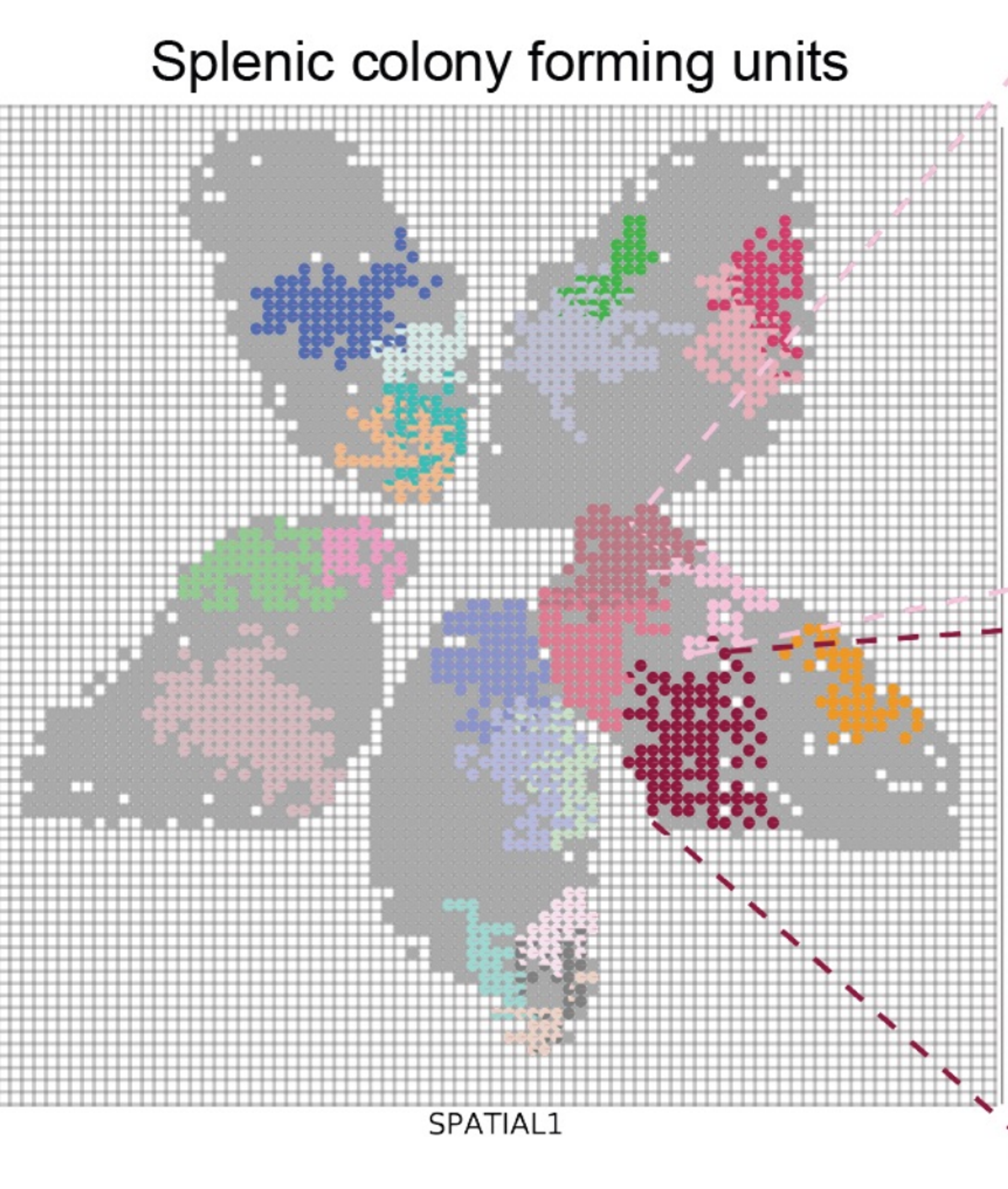 Spatially resolved, multimodal in vivo Perturb-seq using antibody-based cell hashing
