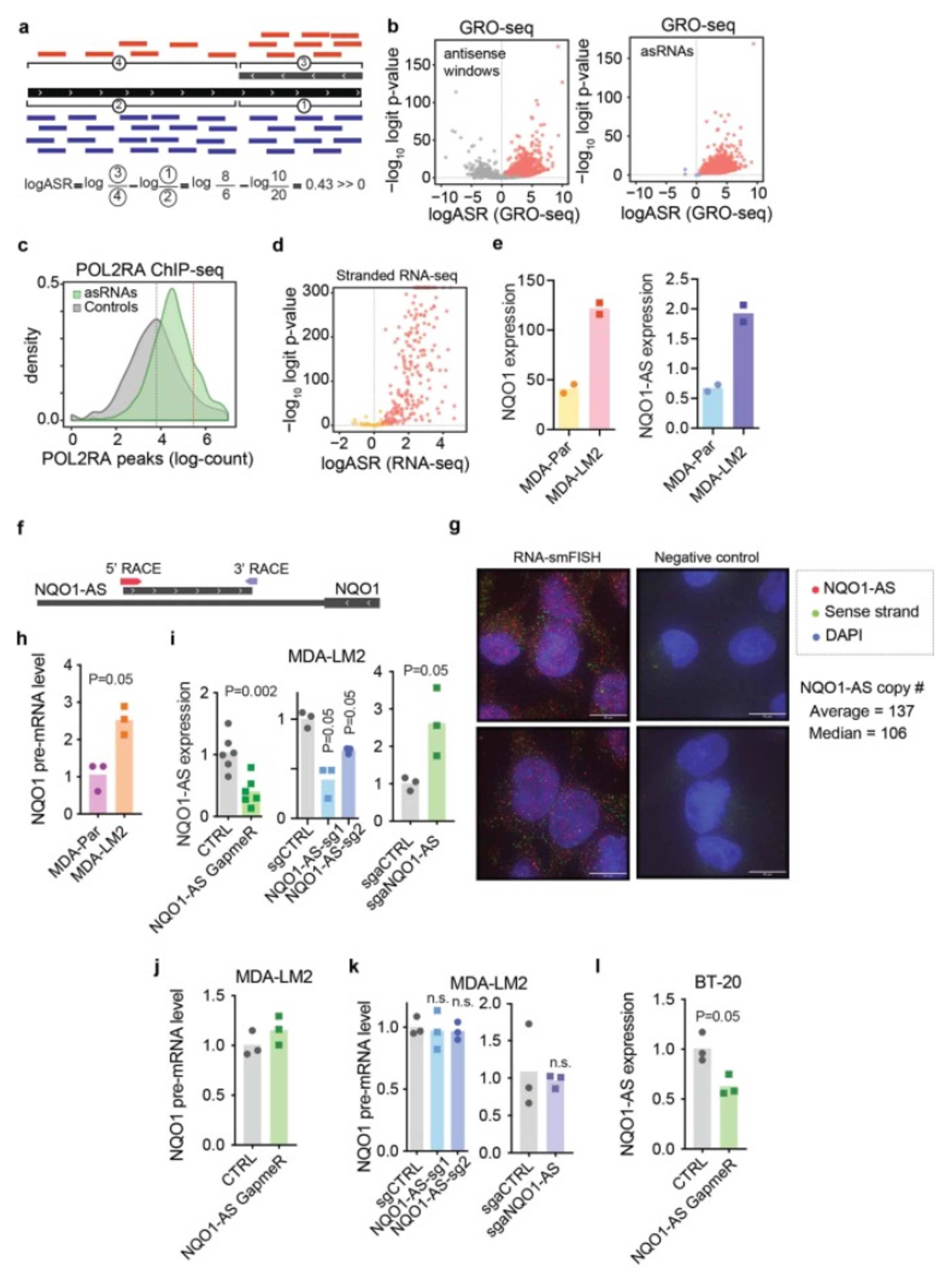 A sense-antisense RNA interaction promotes breast cancer metastasis via regulation of NQO1 expression