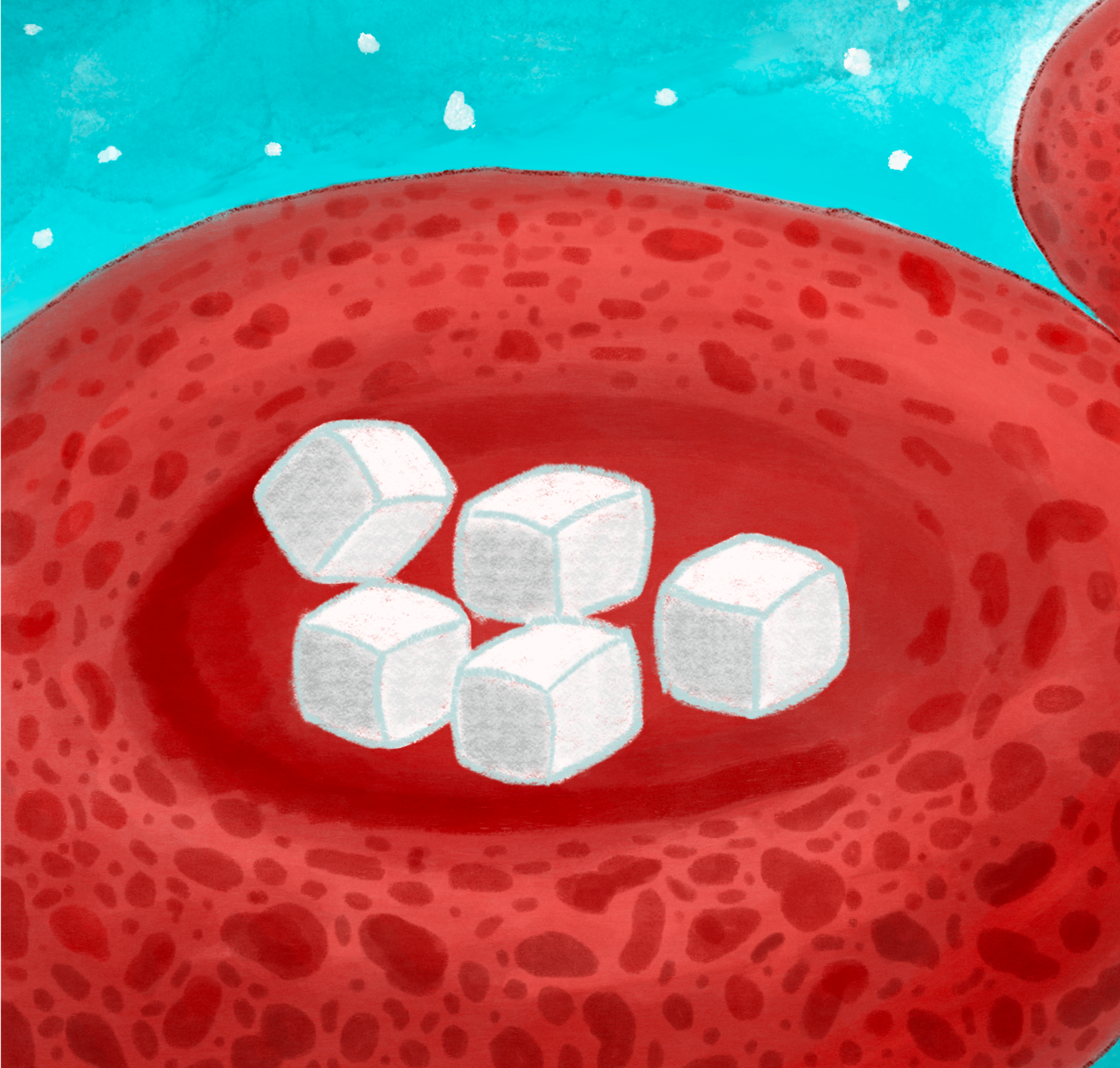 Red blood cells serve as a primary glucose sink to improve glucose tolerance at altitude