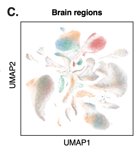 Extracellular cGAMP transmission exacerbates neuroinflammation in aging and multiple sclerosis