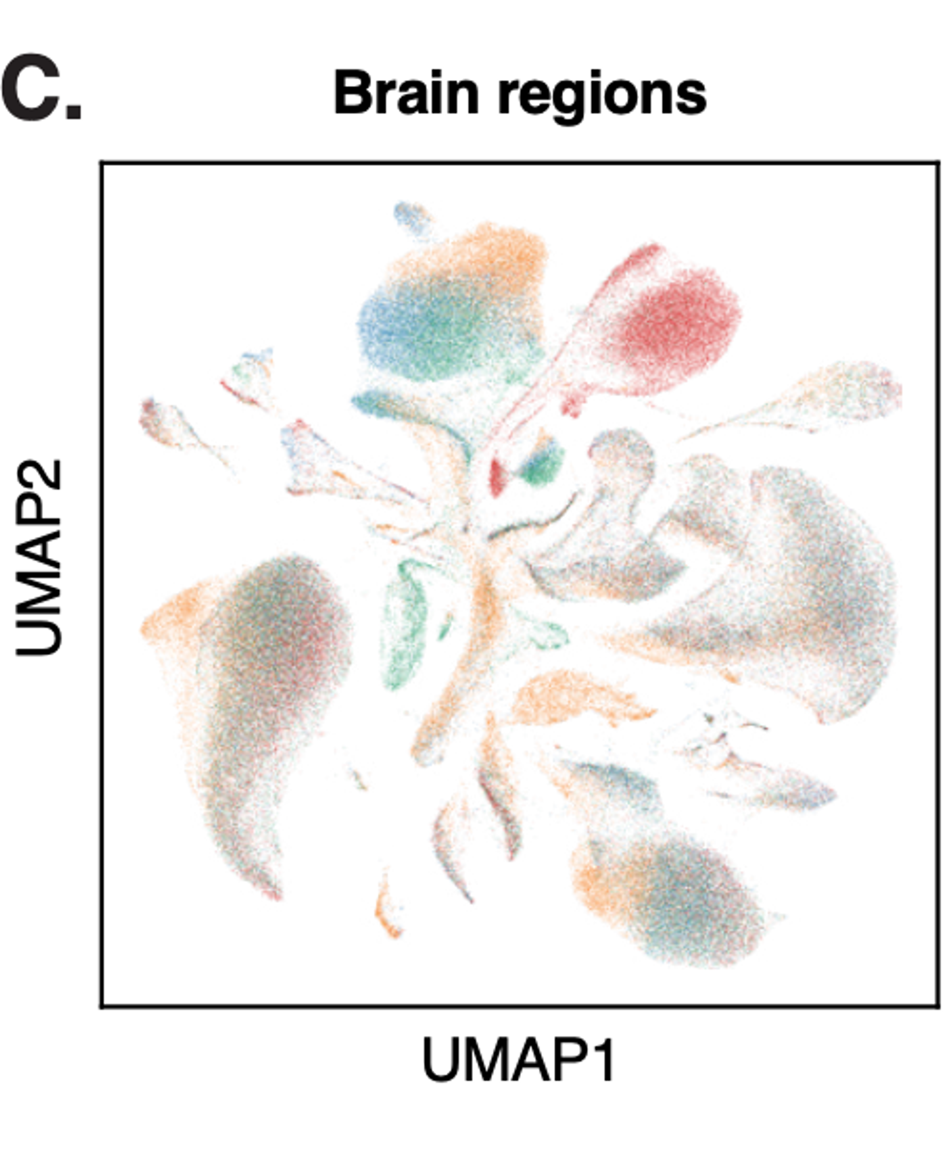 Extracellular cGAMP transmission exacerbates neuroinflammation in aging and multiple sclerosis