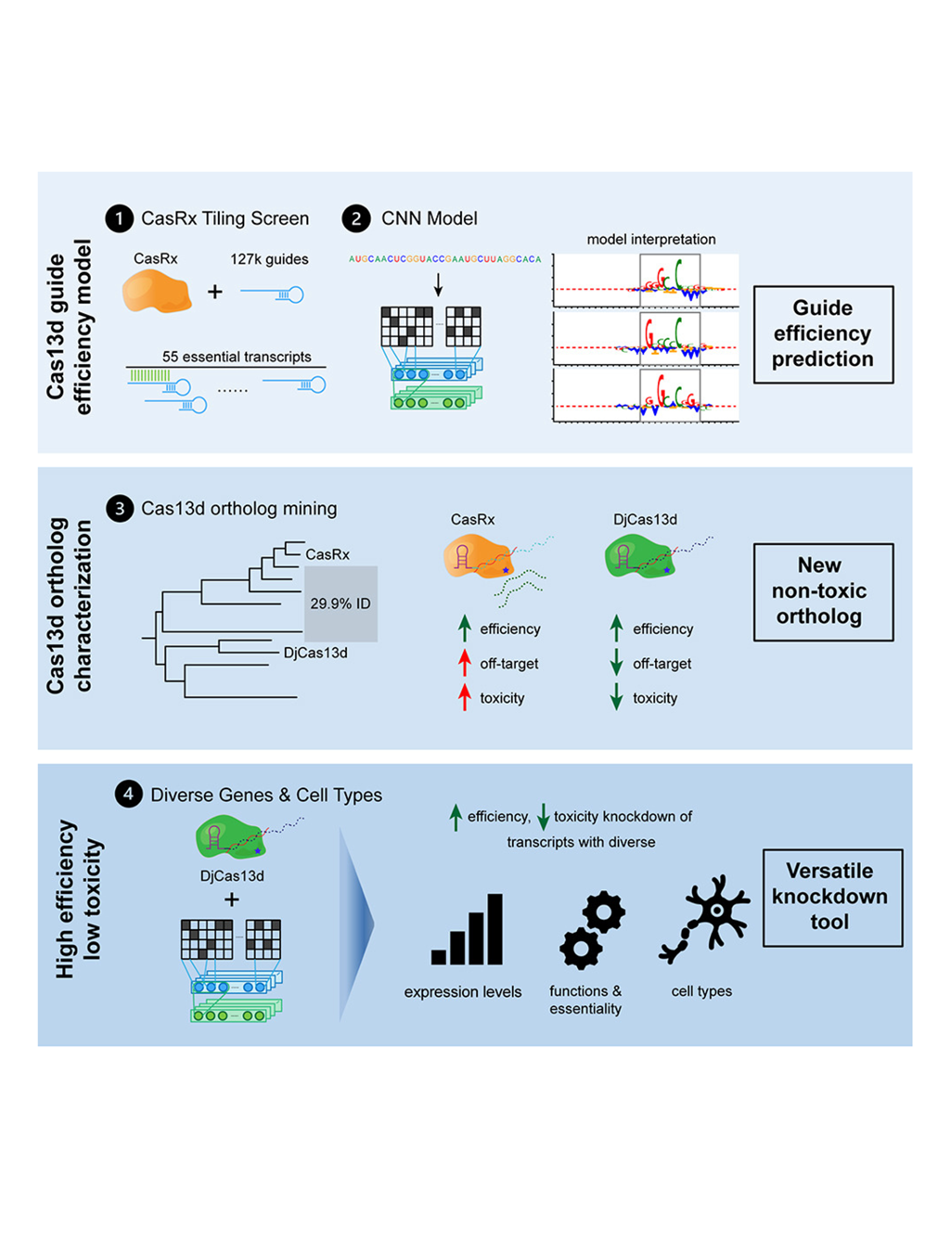 Deep learning and CRISPR-Cas13d ortholog discovery for optimized RNA targeting
