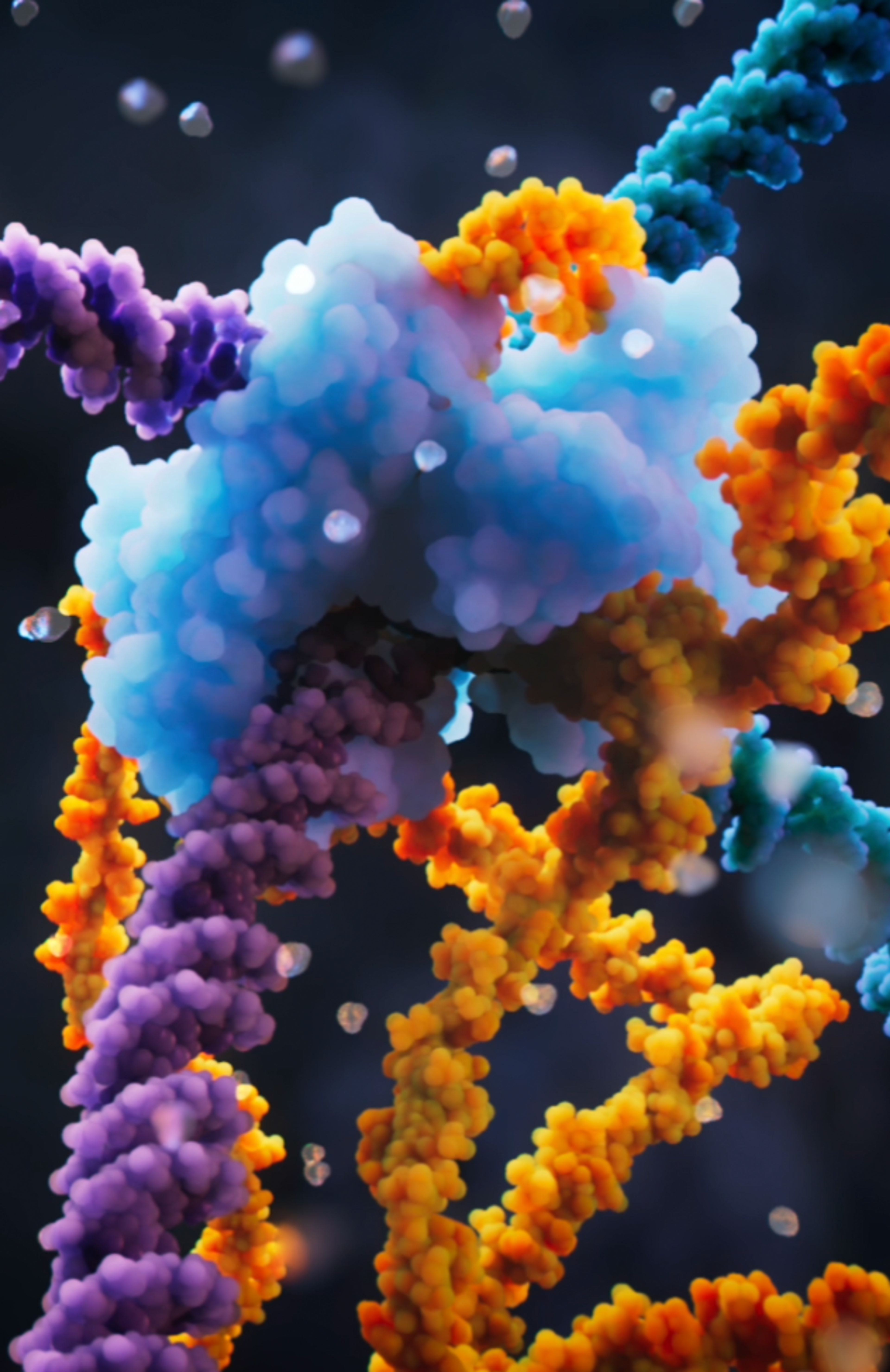 Bridge RNAs direct programmable recombination of target and donor DNA