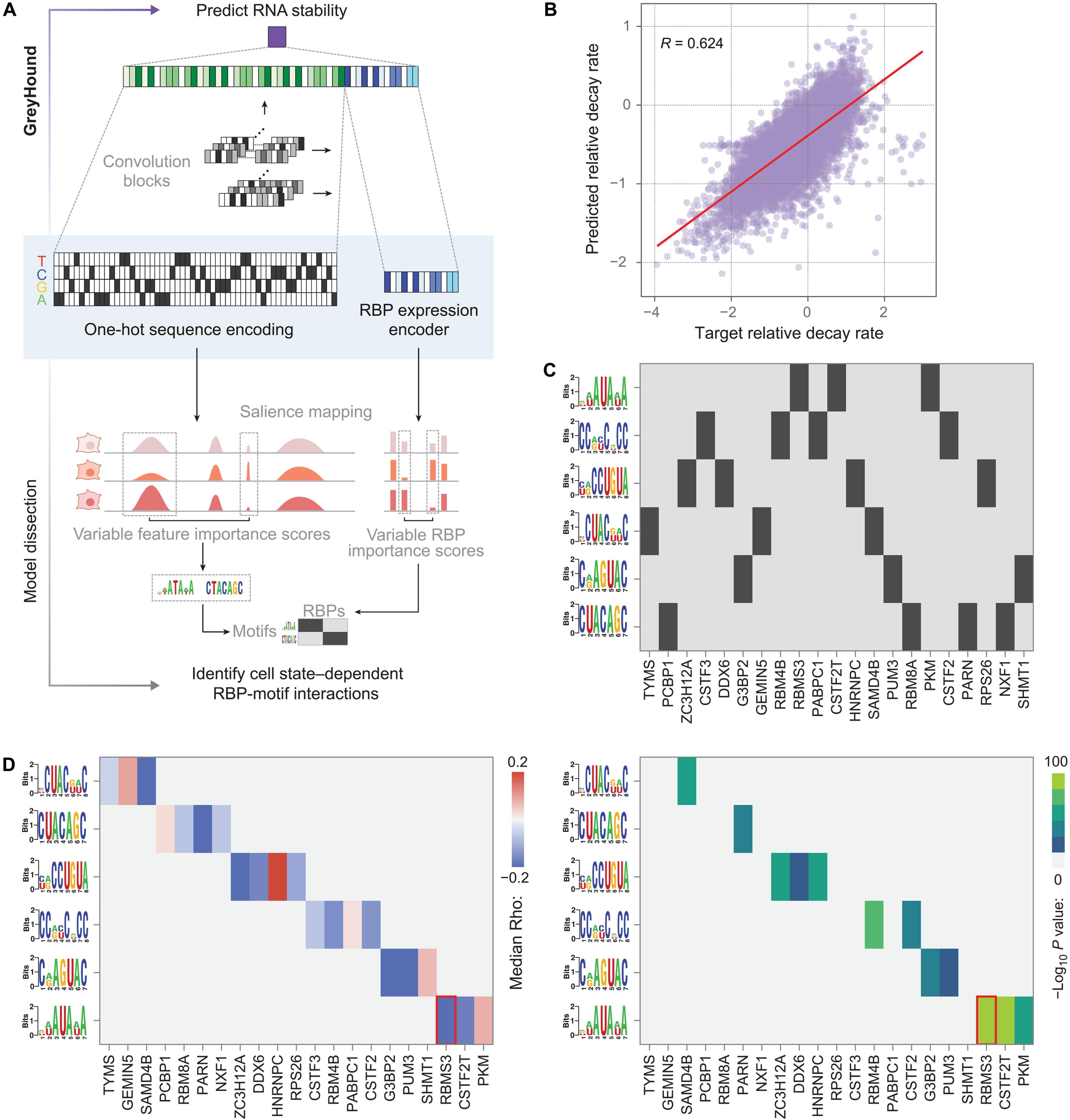 Integrative analysis of mRNA stability regulation uncovers a metastasis-suppressive program in breast cancer