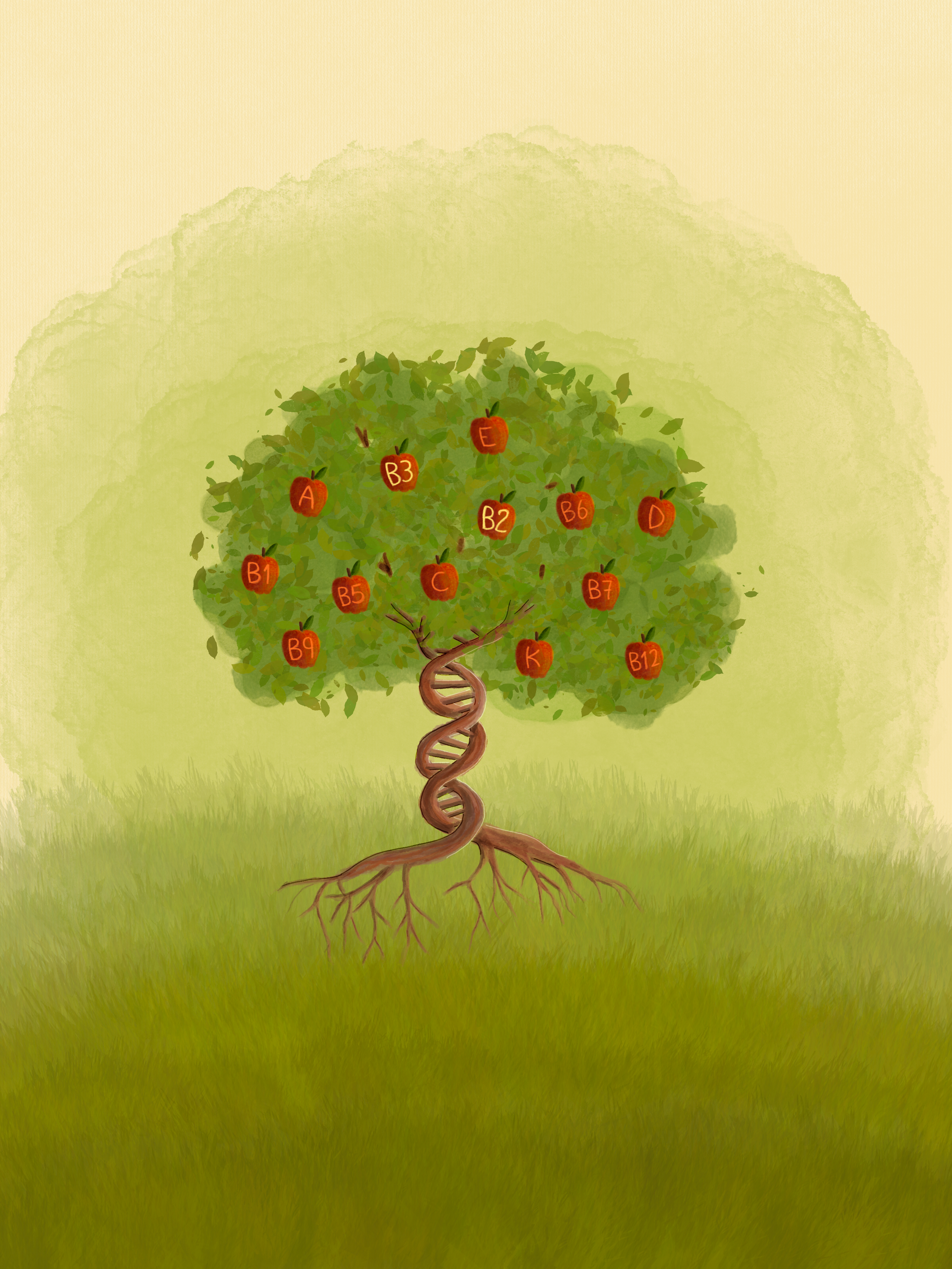 Vitamin B2 and B3 nutrigenomics reveals a therapy for NAXD disease