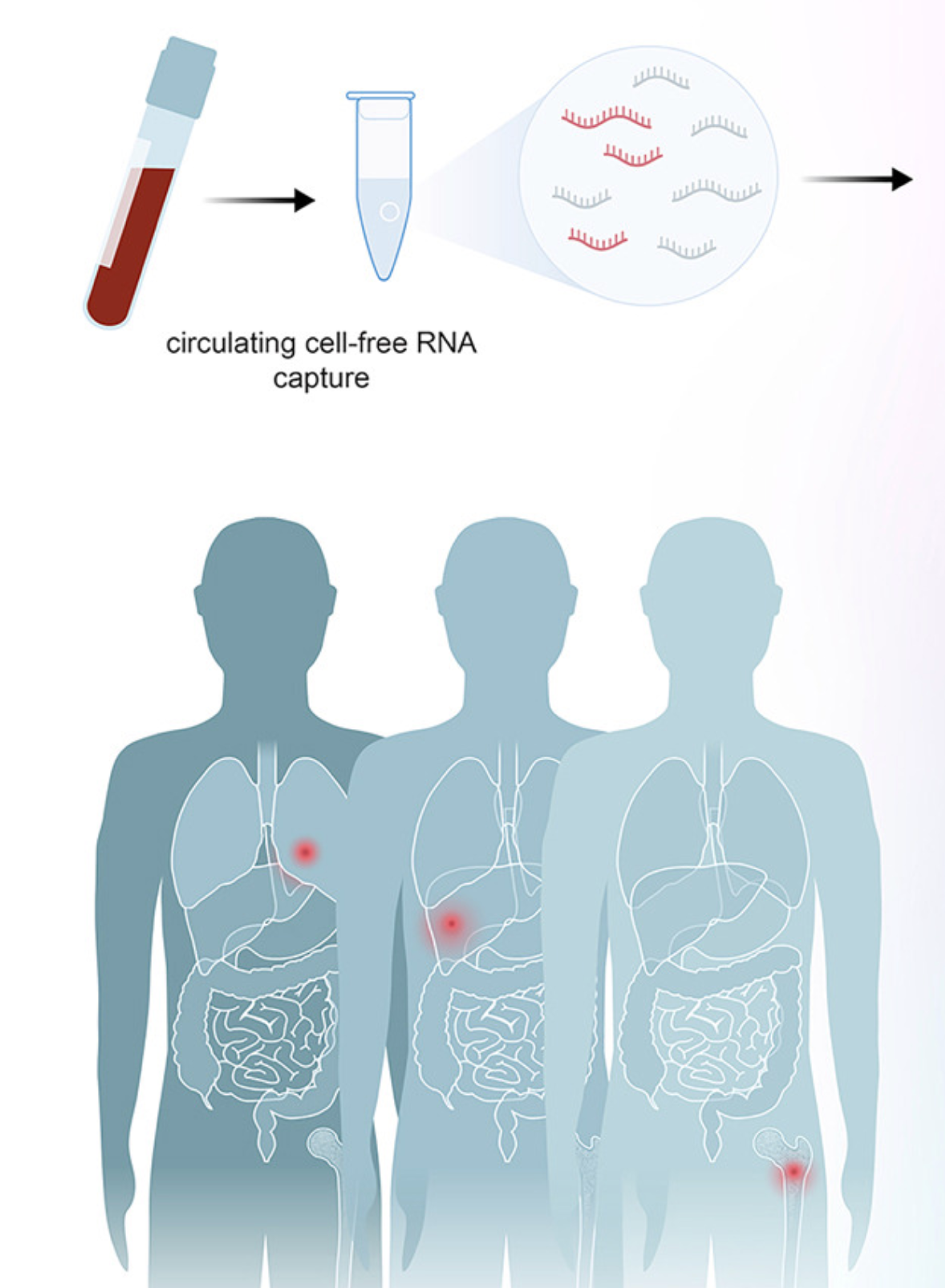 Systematic annotation of orphan RNAs reveals blood-accessible molecular barcodes of cancer identity and cancer-emergent oncogenic drivers