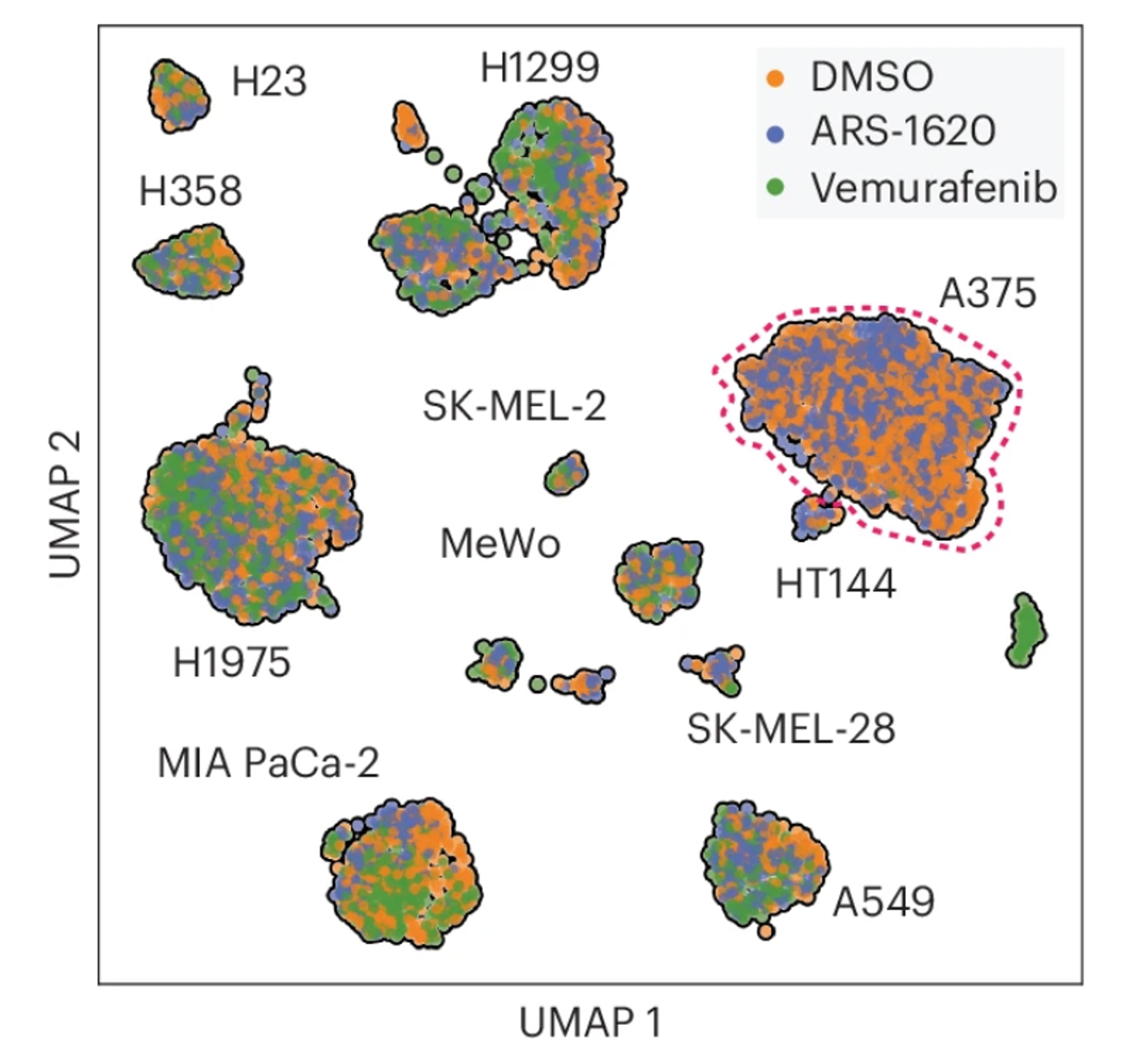The GENEVA platform models tumor mosaicism to reveal variations of responses to KRAS inhibitors and identify improved drug combinations