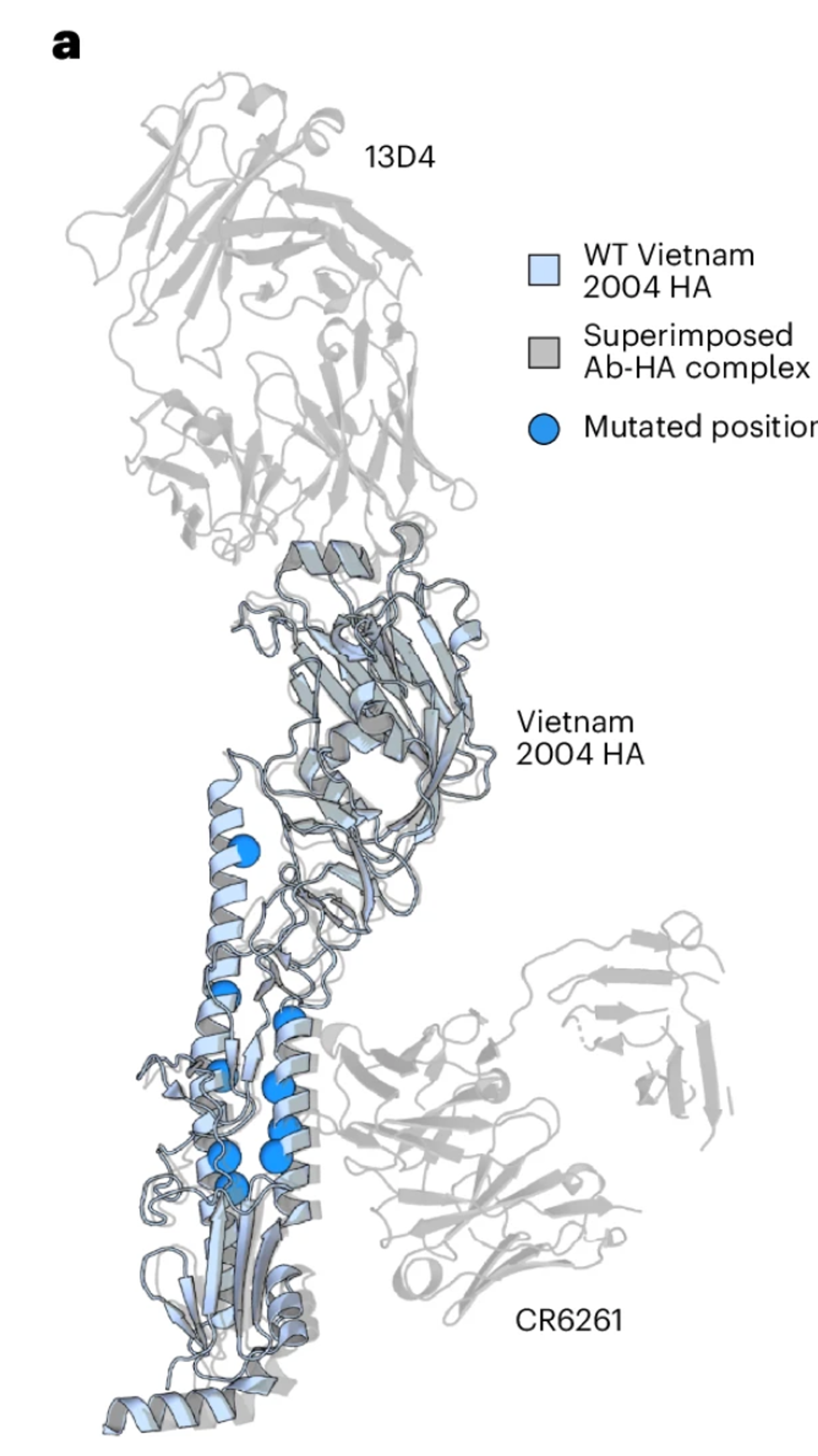 Aligning protein-generative models to experimental fitness with ProteinDPO