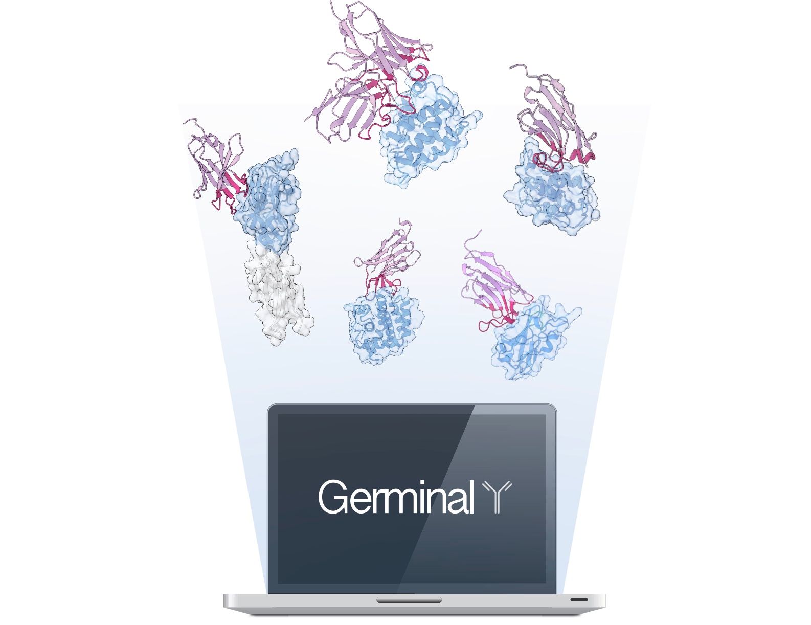 Efficient generation of epitope-targeted de novo antibodies with Germinal